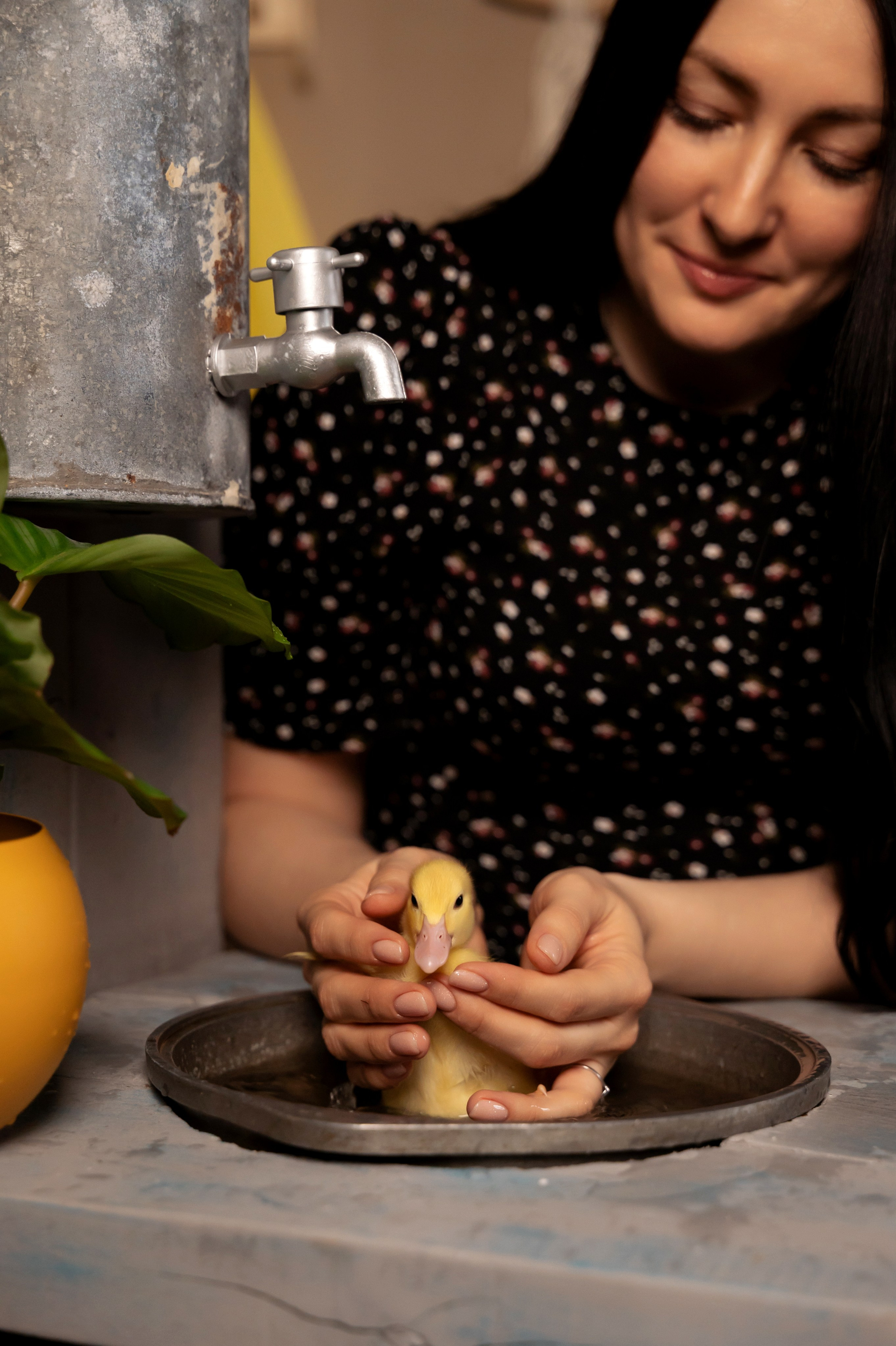 Купание утят. Елена Задорина