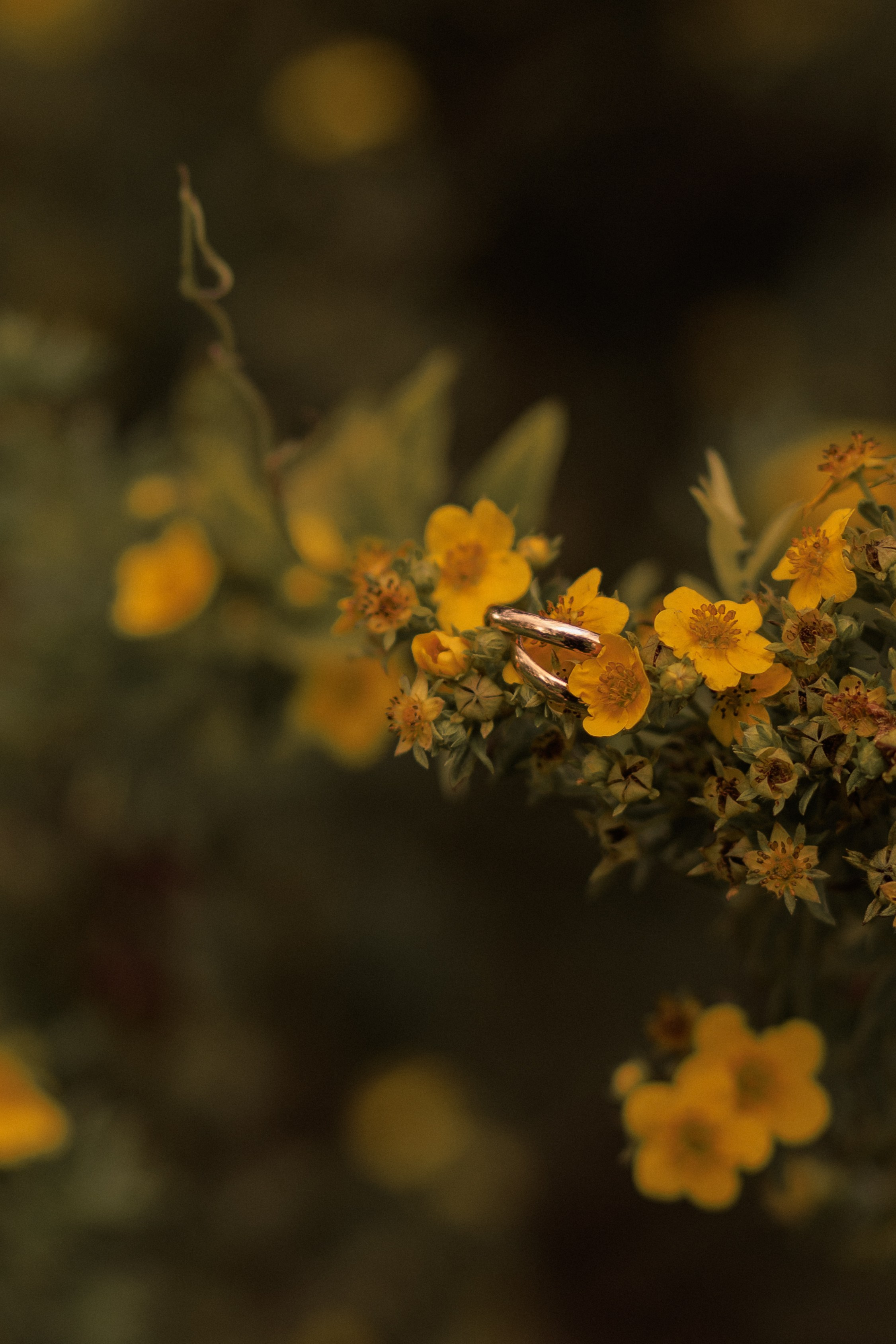 Пиратская свадьба. Свадебный фотограф в Уфе Кира Прозорова