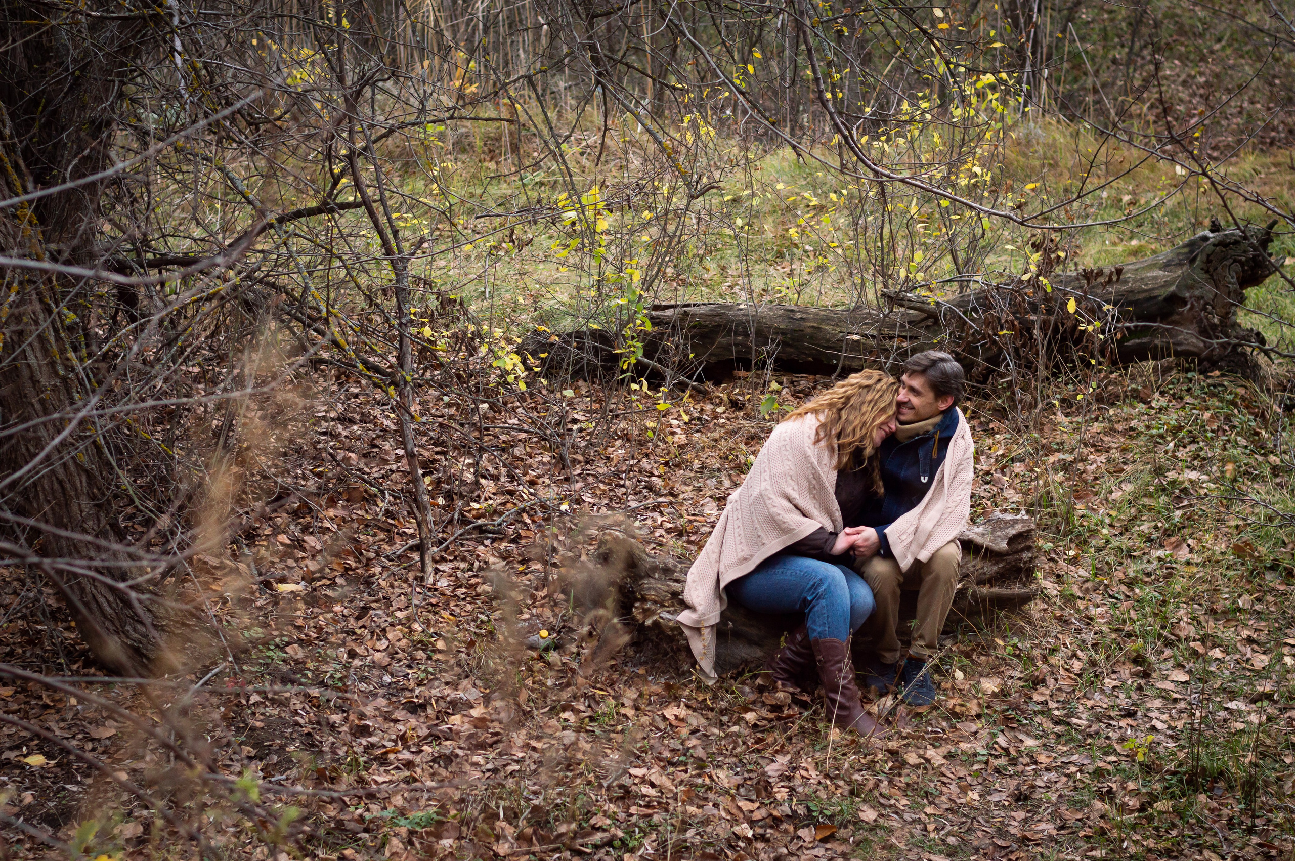 По грибы. Главная