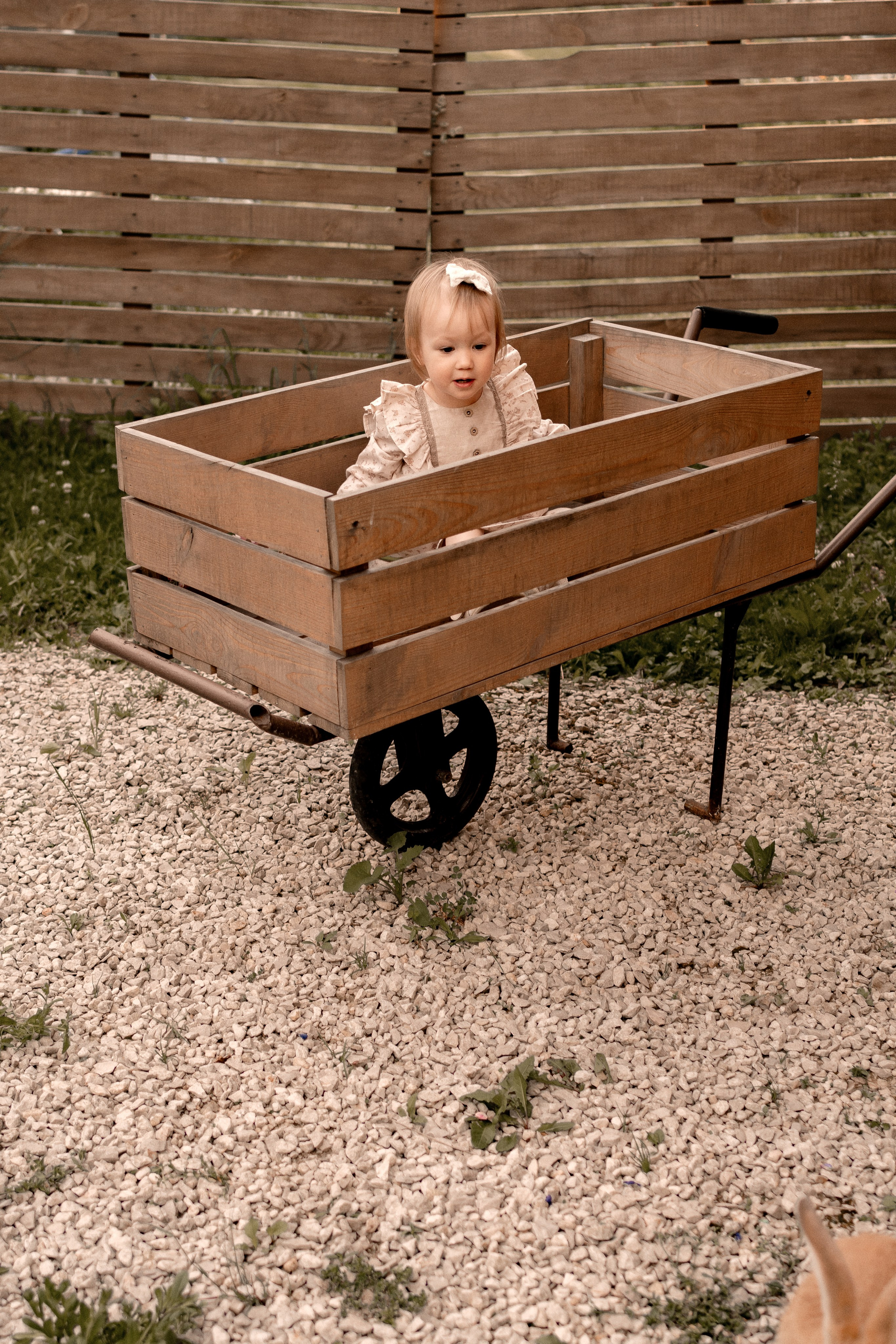 Беременность. Свадебный и семейный фотограф в Серпухове Александра Дерюшева