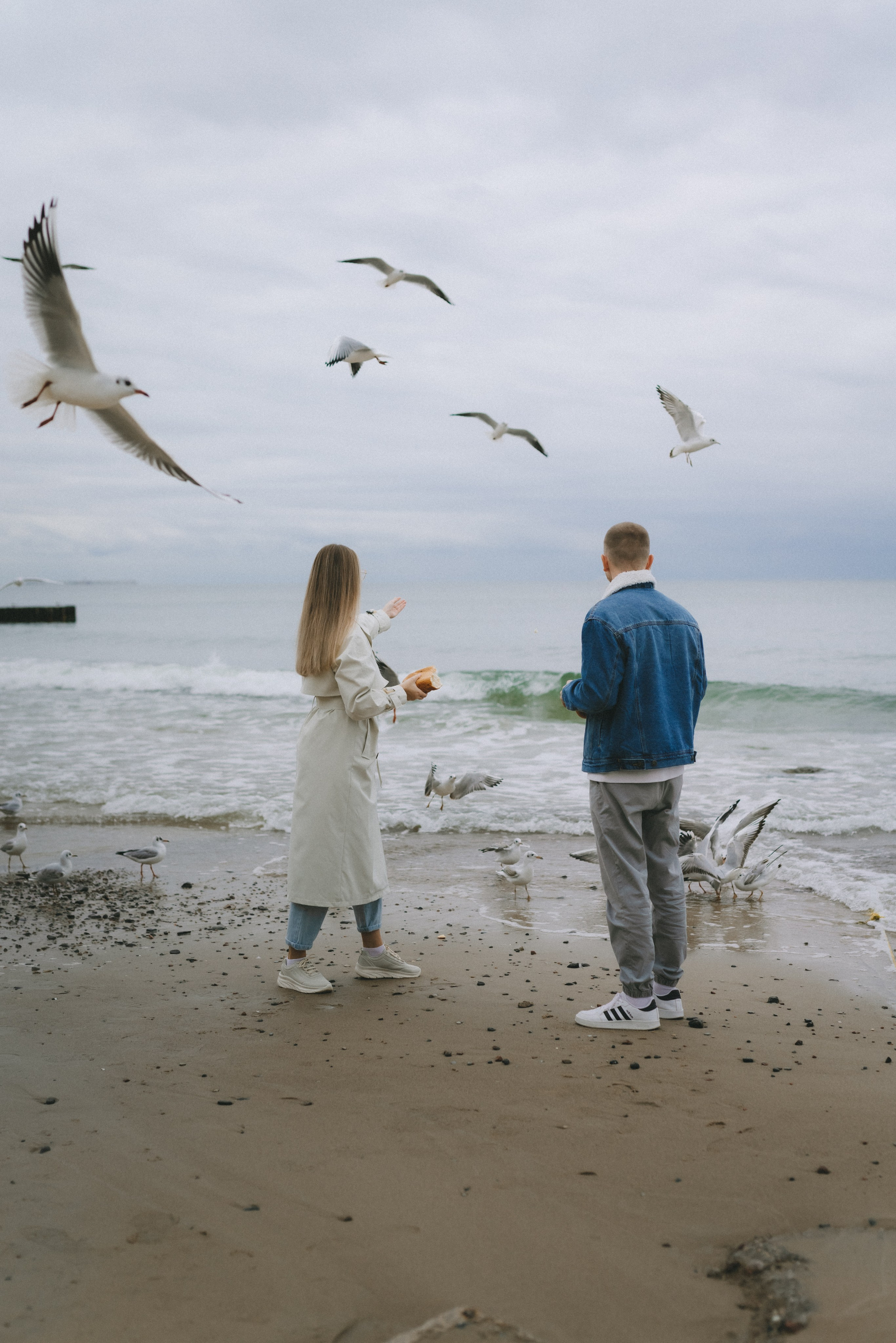 Даша + Паша. Фотограф Зеленоградск Красильникова Елена
