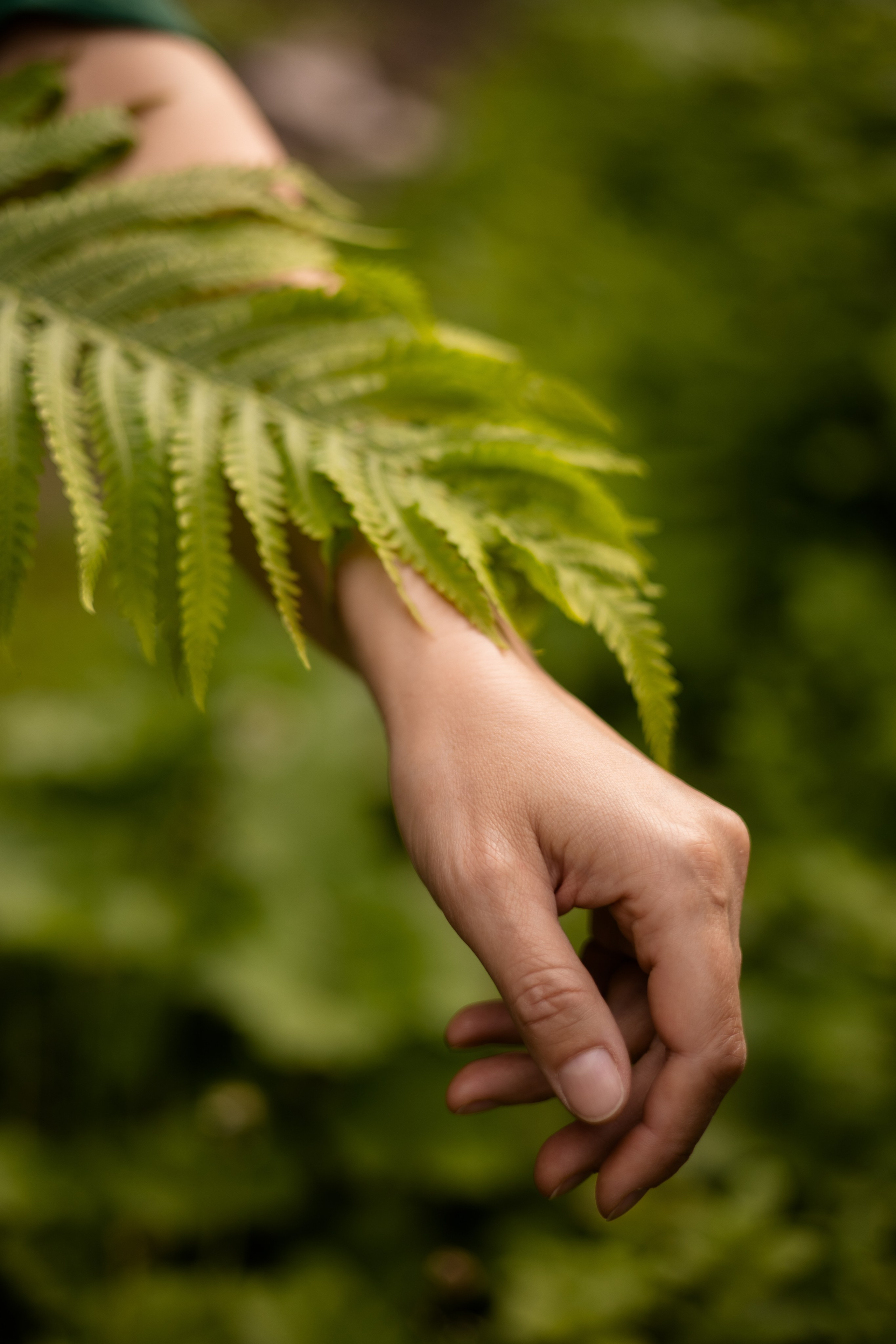 Индивидуальная фотосессия. Елена. Фотограф Самойлова Анна Архангельск, Северодвинск