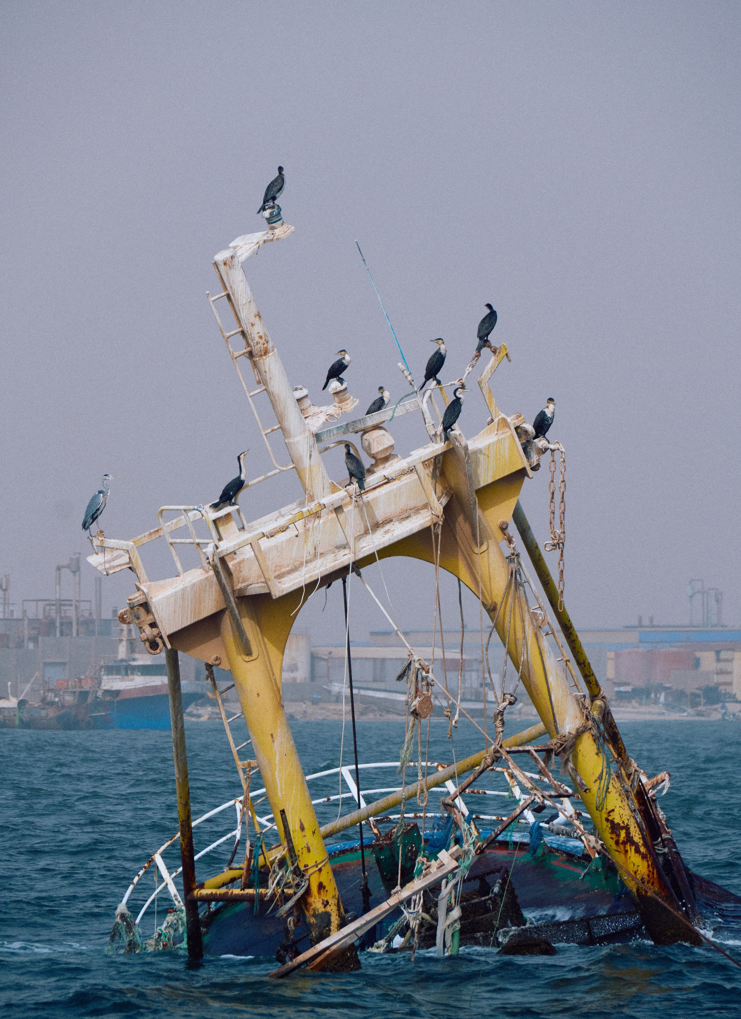 Morocco-Gambia. See the moment and catche. commercial and reportage