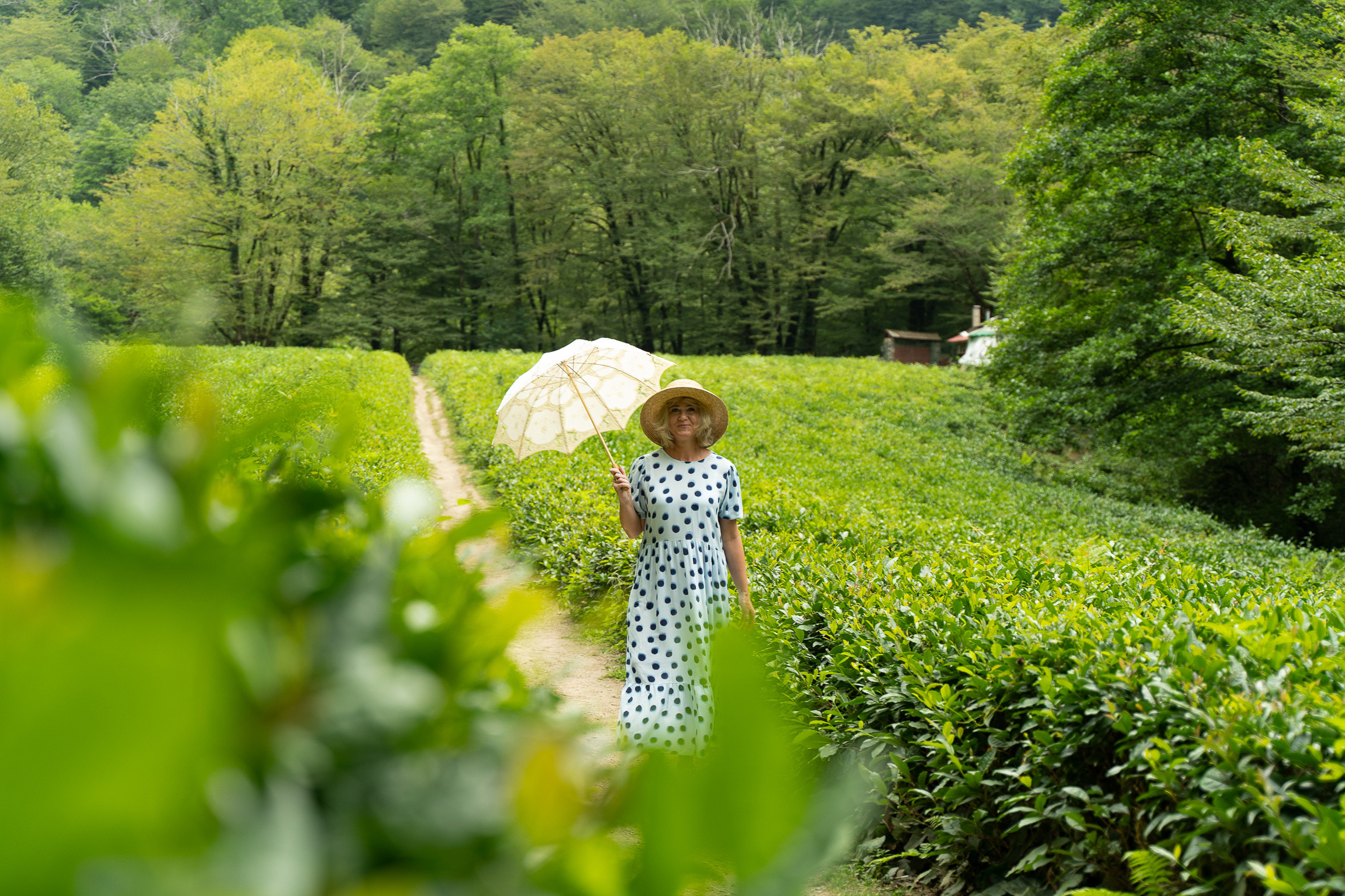 Сочи фотограф