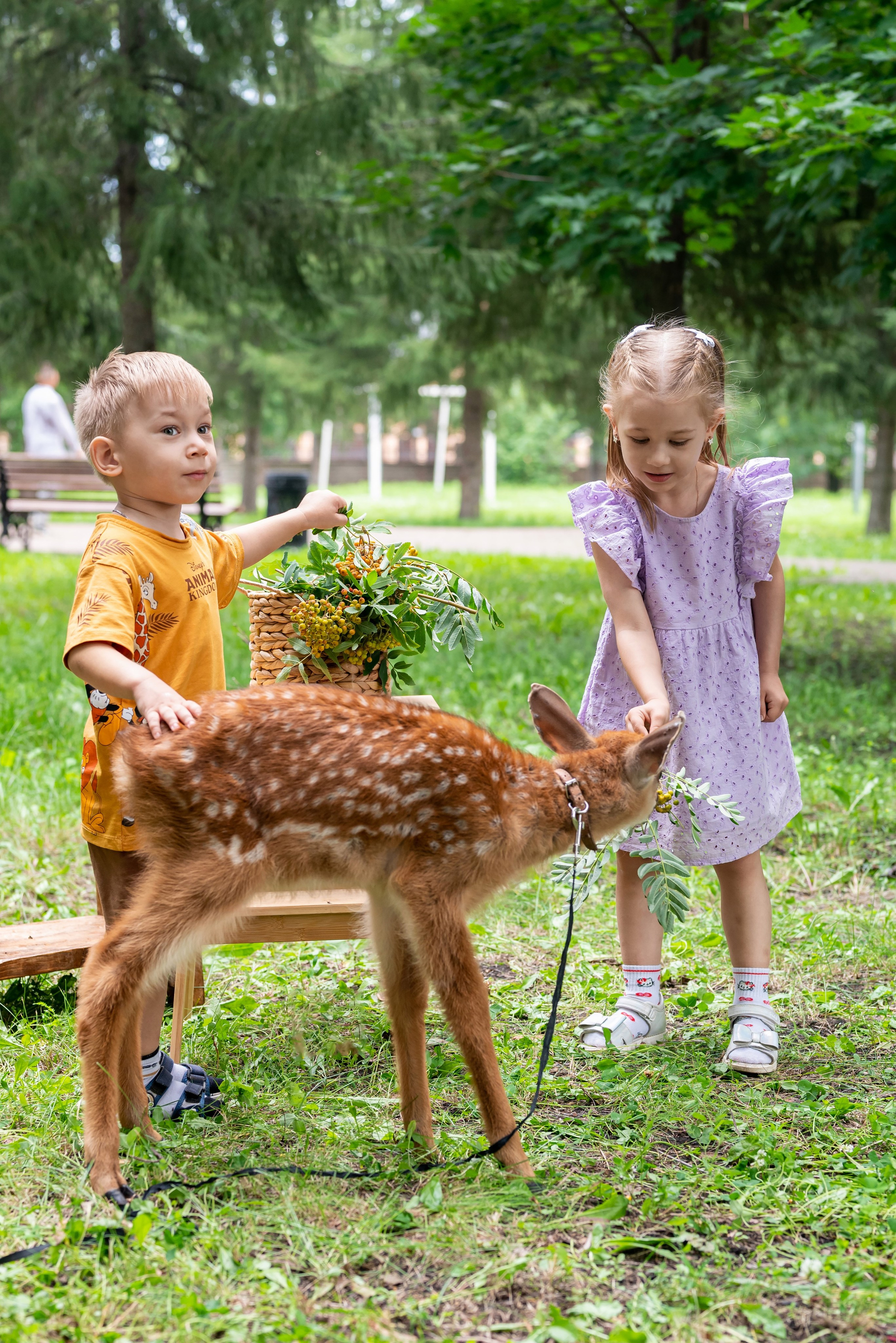 Фотопроект *Оленёнок Бэмби*. Фотограф в городе Салават
