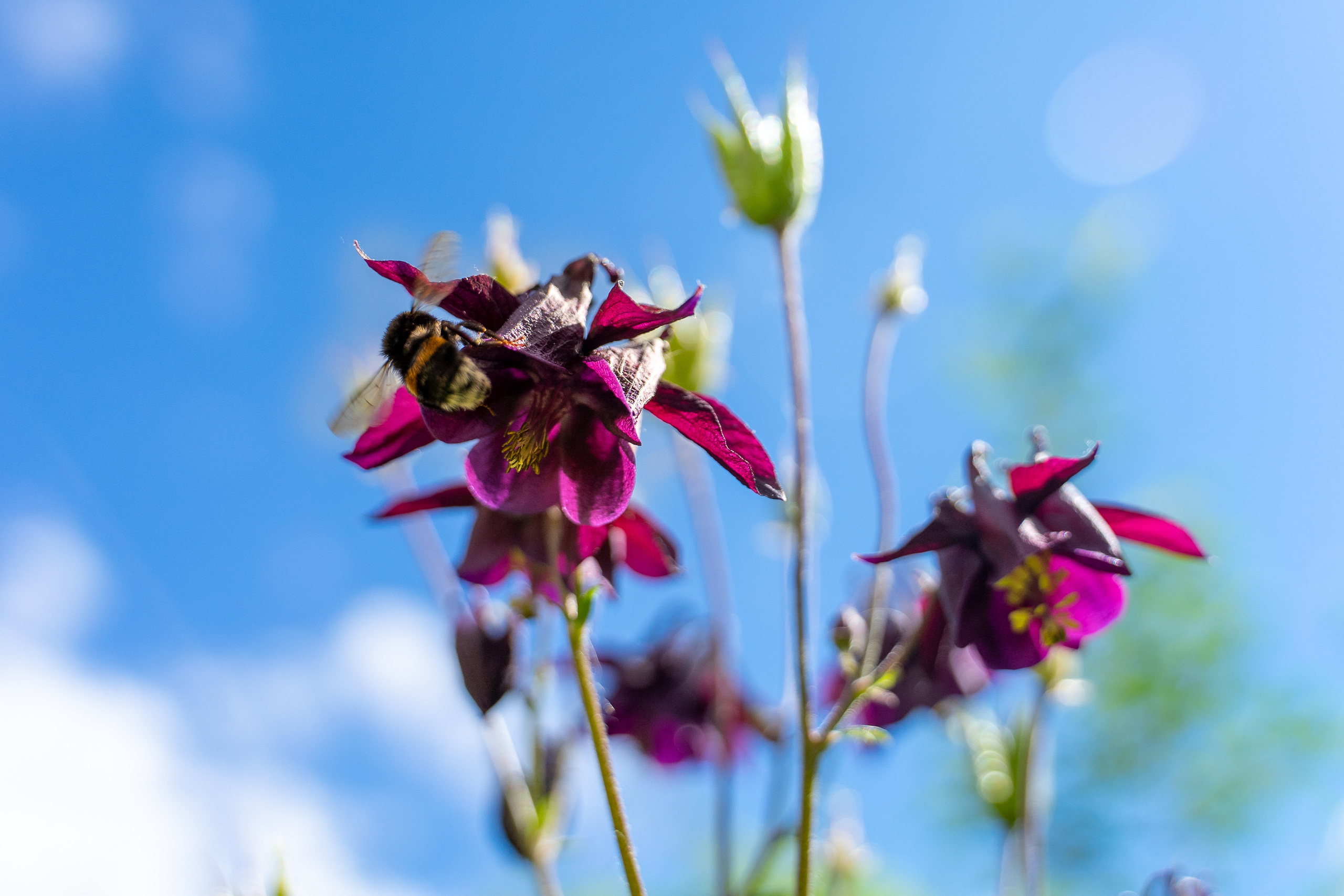 Отзывы. Фотограф в Москве. Люблю фотографировать людей