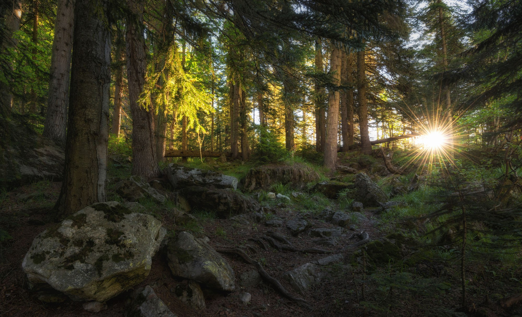 Фотографии Кавказ