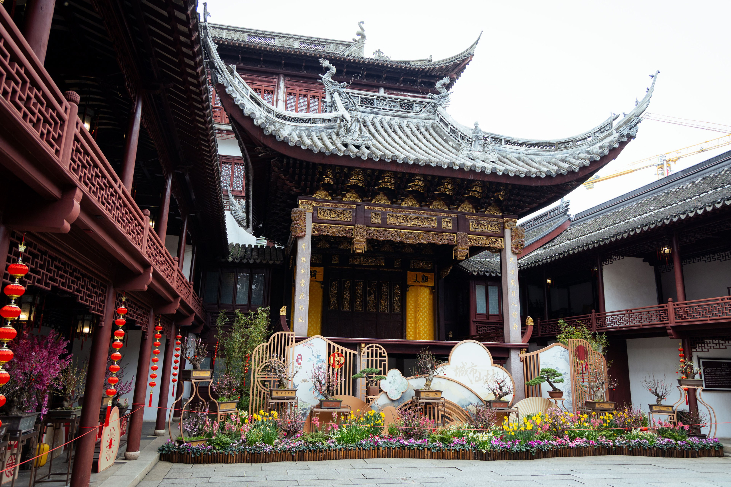 Шанхай (март 2026). Фотограф Виноградов Константин