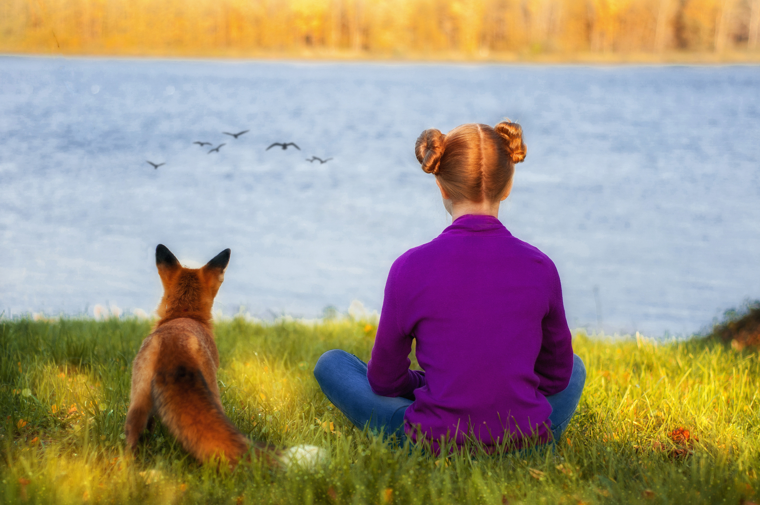 История по фильму «ДЕВОЧКА И ЛИСЁНОК». Семейный и детский фотограф в Ярославле, Максимова Светлана