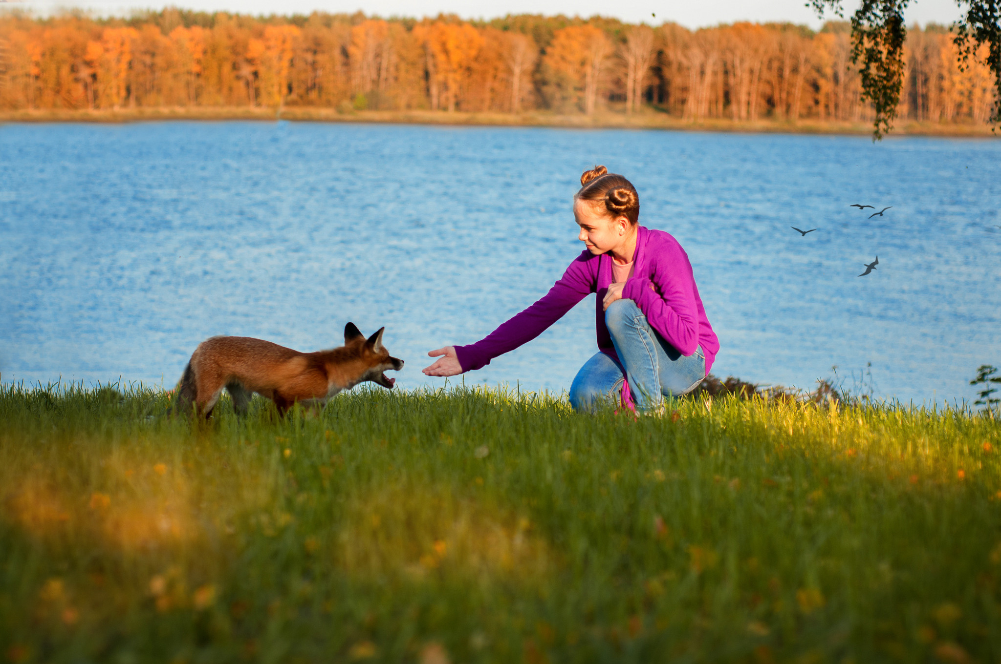 История по фильму «ДЕВОЧКА И ЛИСЁНОК». Семейный и детский фотограф в Ярославле, Максимова Светлана