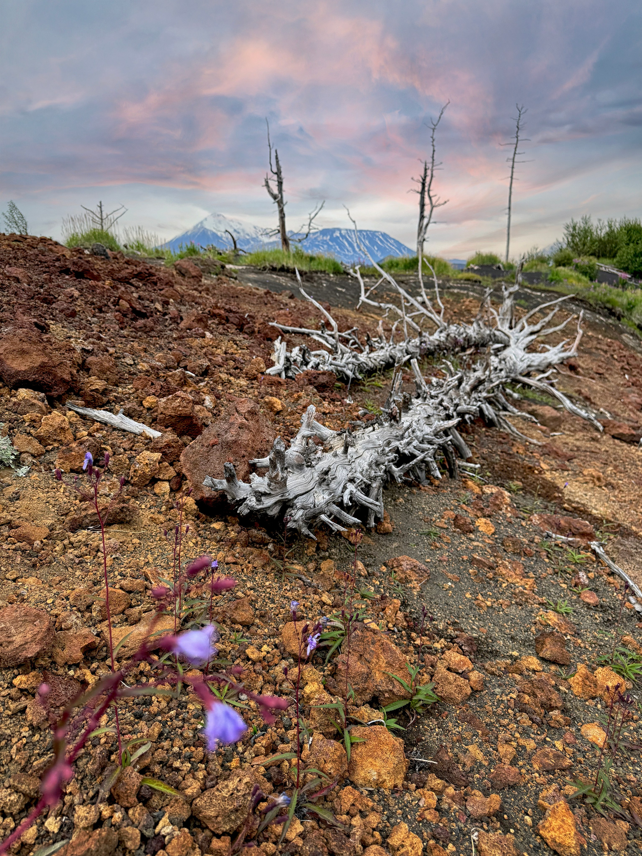 Пейзаж. Фотограф Наталья Туева FineArt съёмка