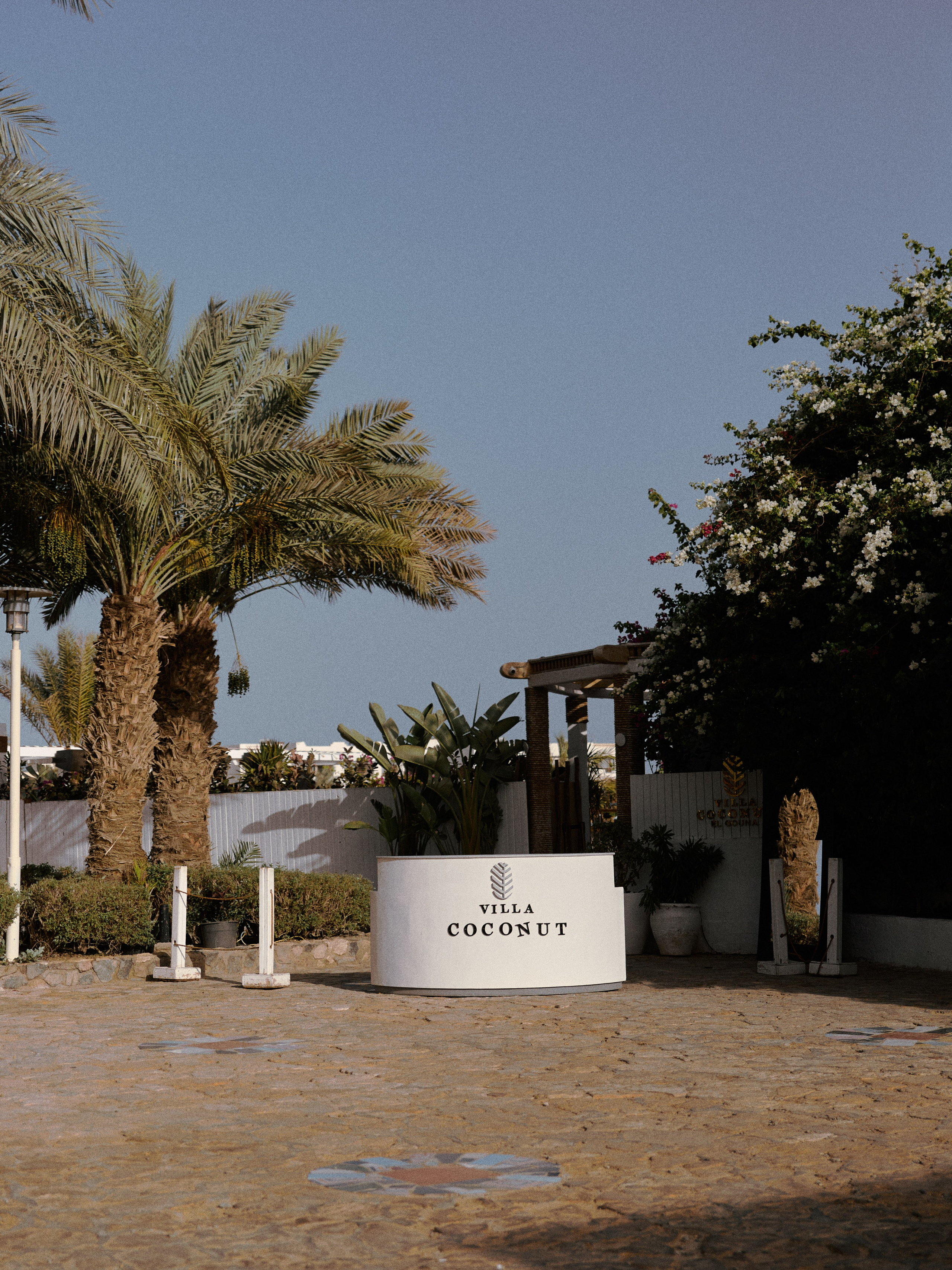 Улицы. Jorgis Talè — photographer, kind person, teacher of arts and other mag