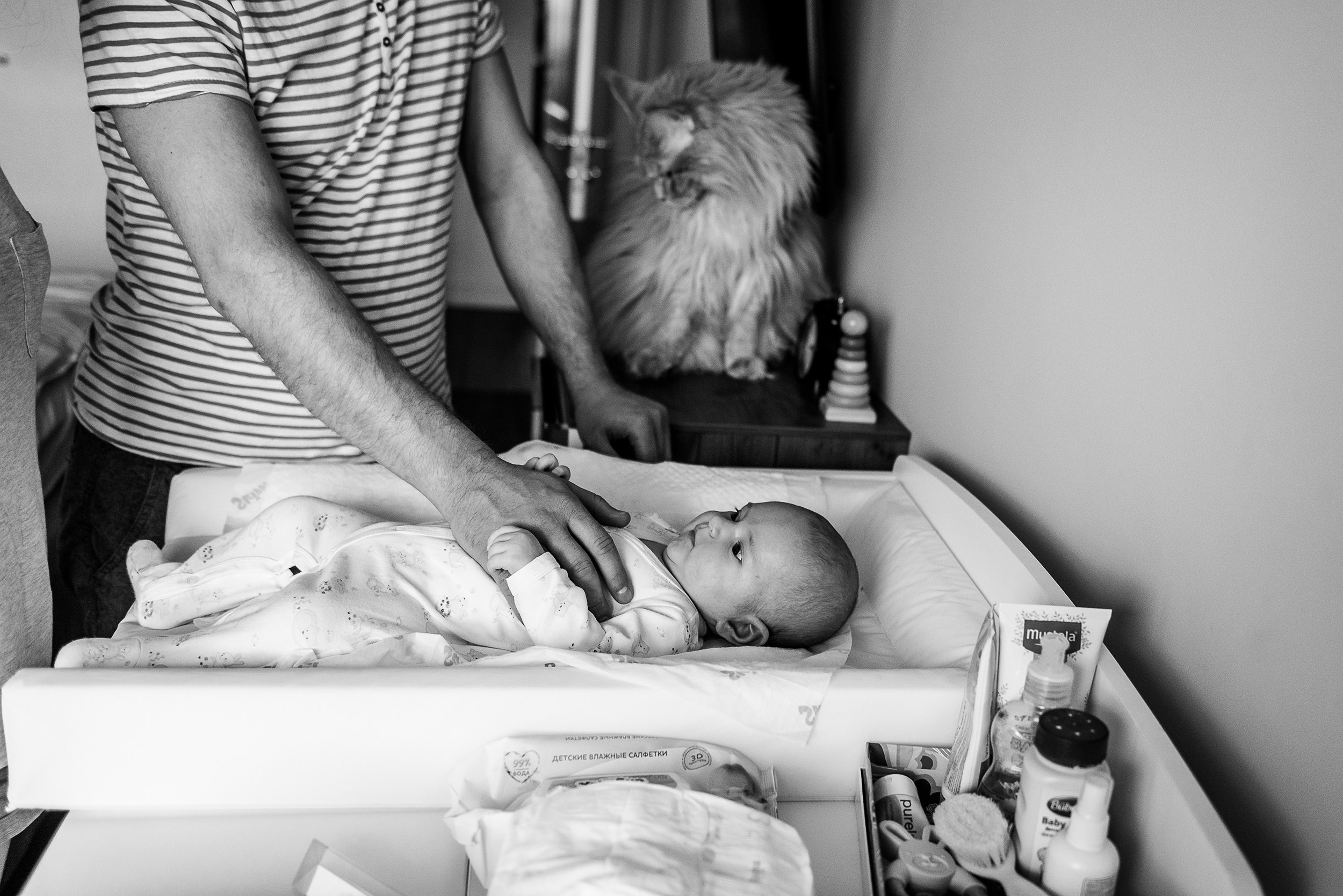 Алена, Виктор, Оливка и Ластик. Семейный Фотограф в Москве Ирина Хохлова