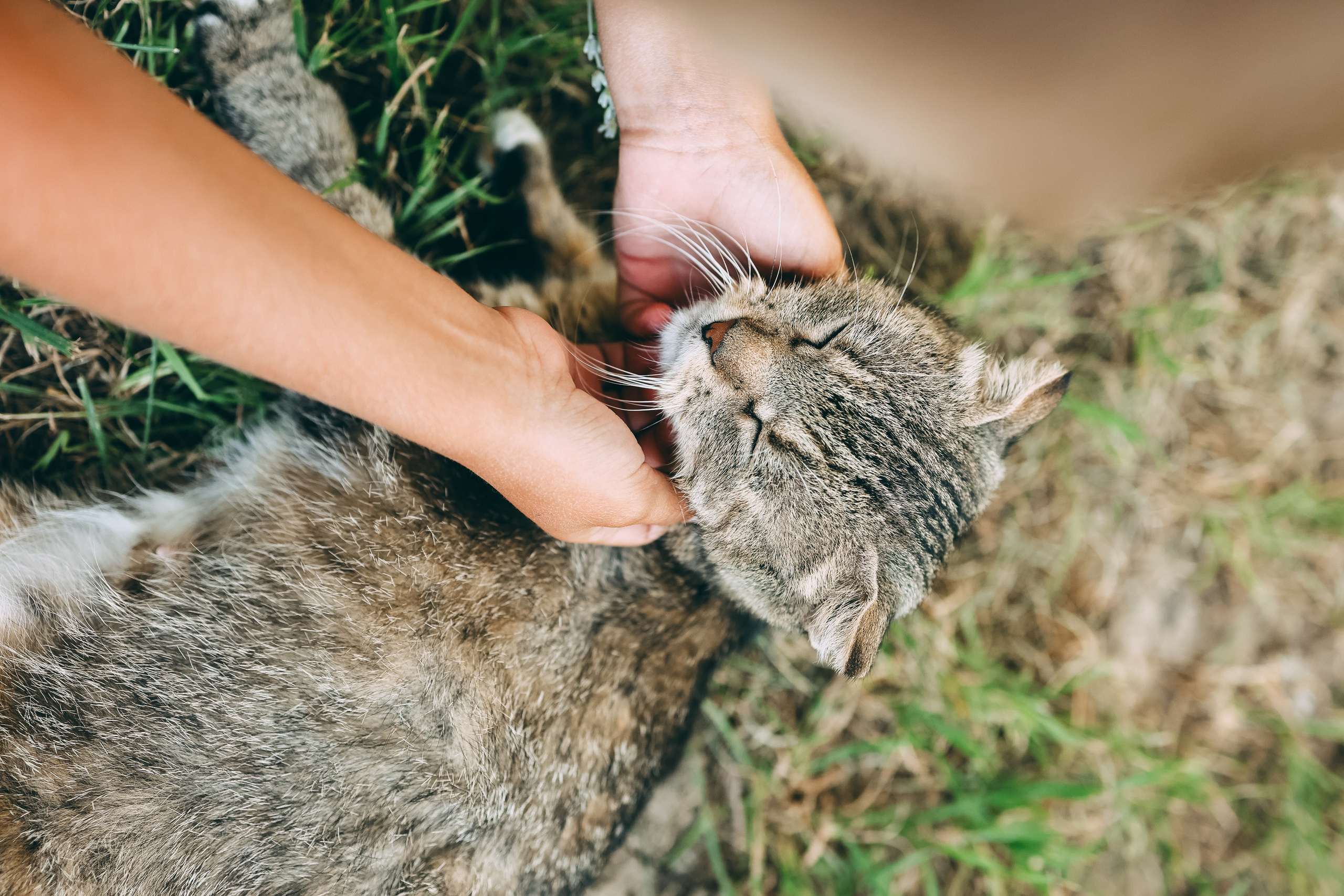 Семья Савелия и Тимофея. Свадебный и семейный фотограф в Воронеже Ксения Воротникова