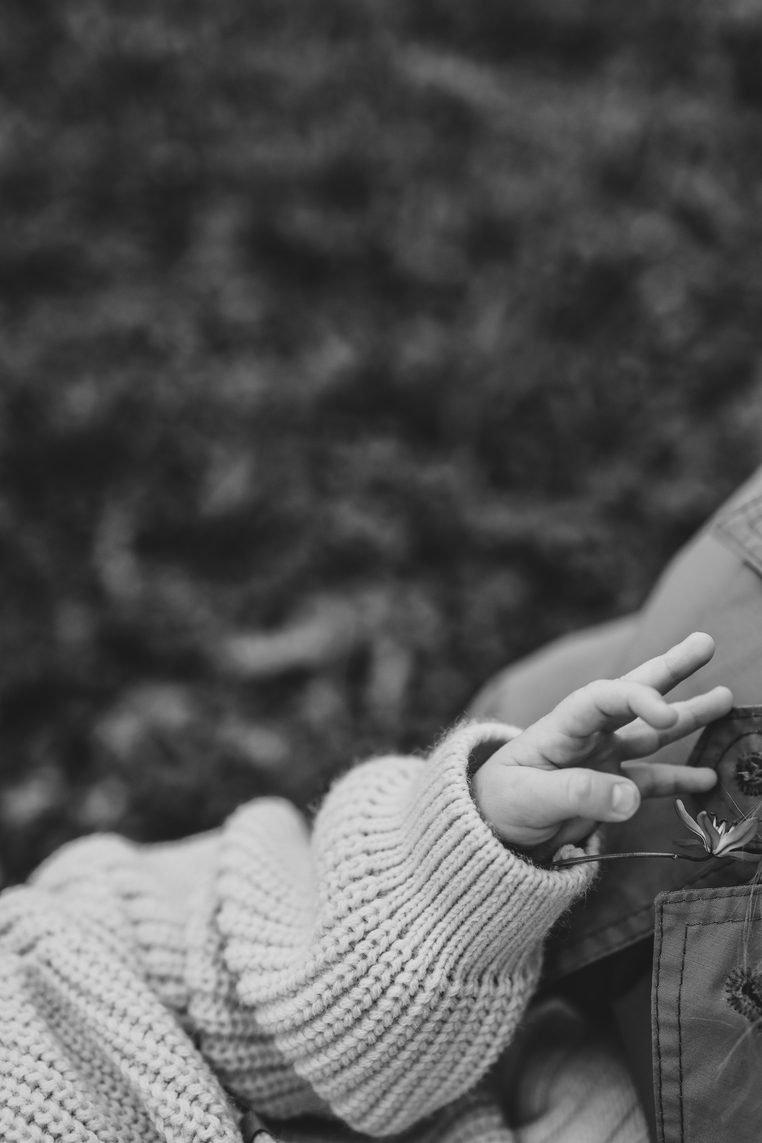 Маргарита, Василиса и Сергей. Свадебный и семейный фотограф в Воронеже Ксения Воротникова