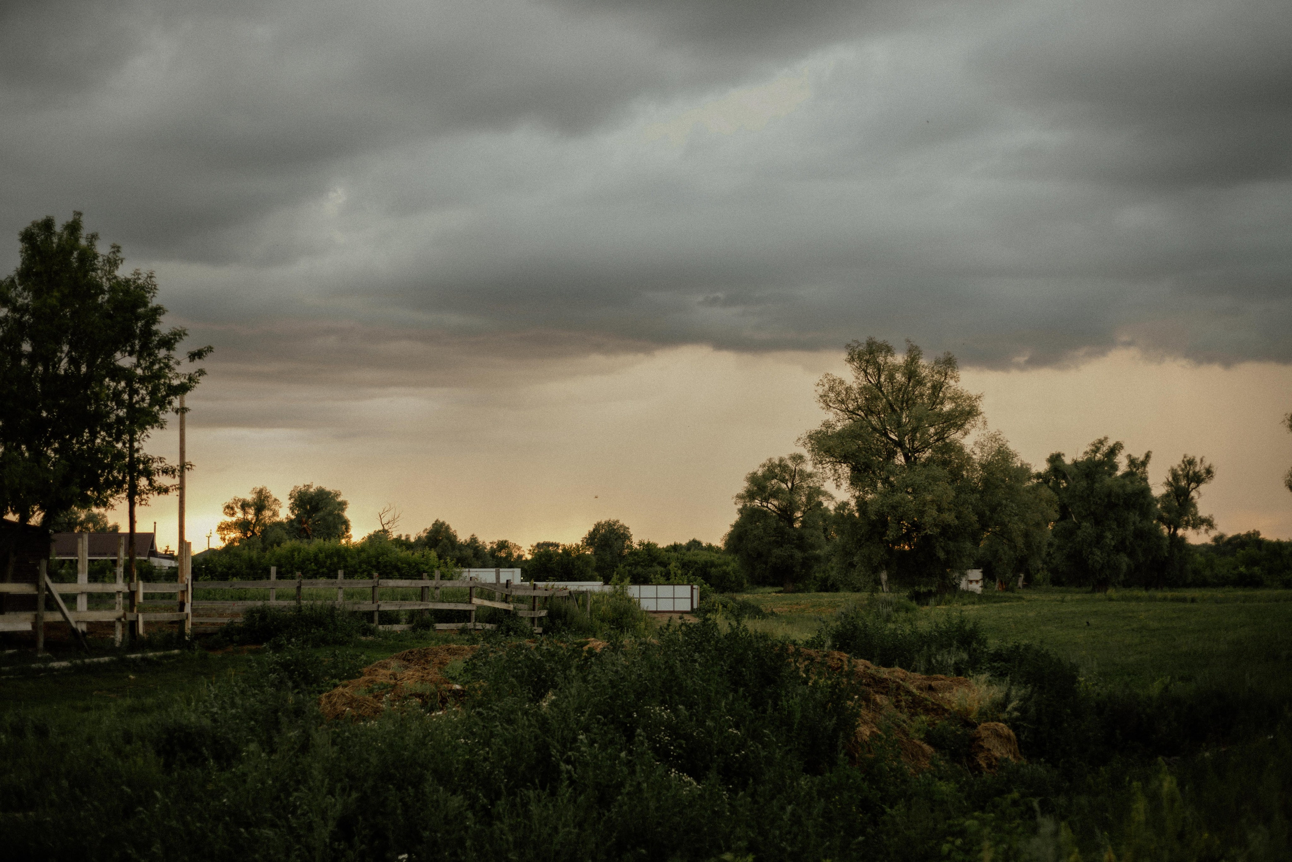 Диана + Александр. Фотограф Алёна Евграфова