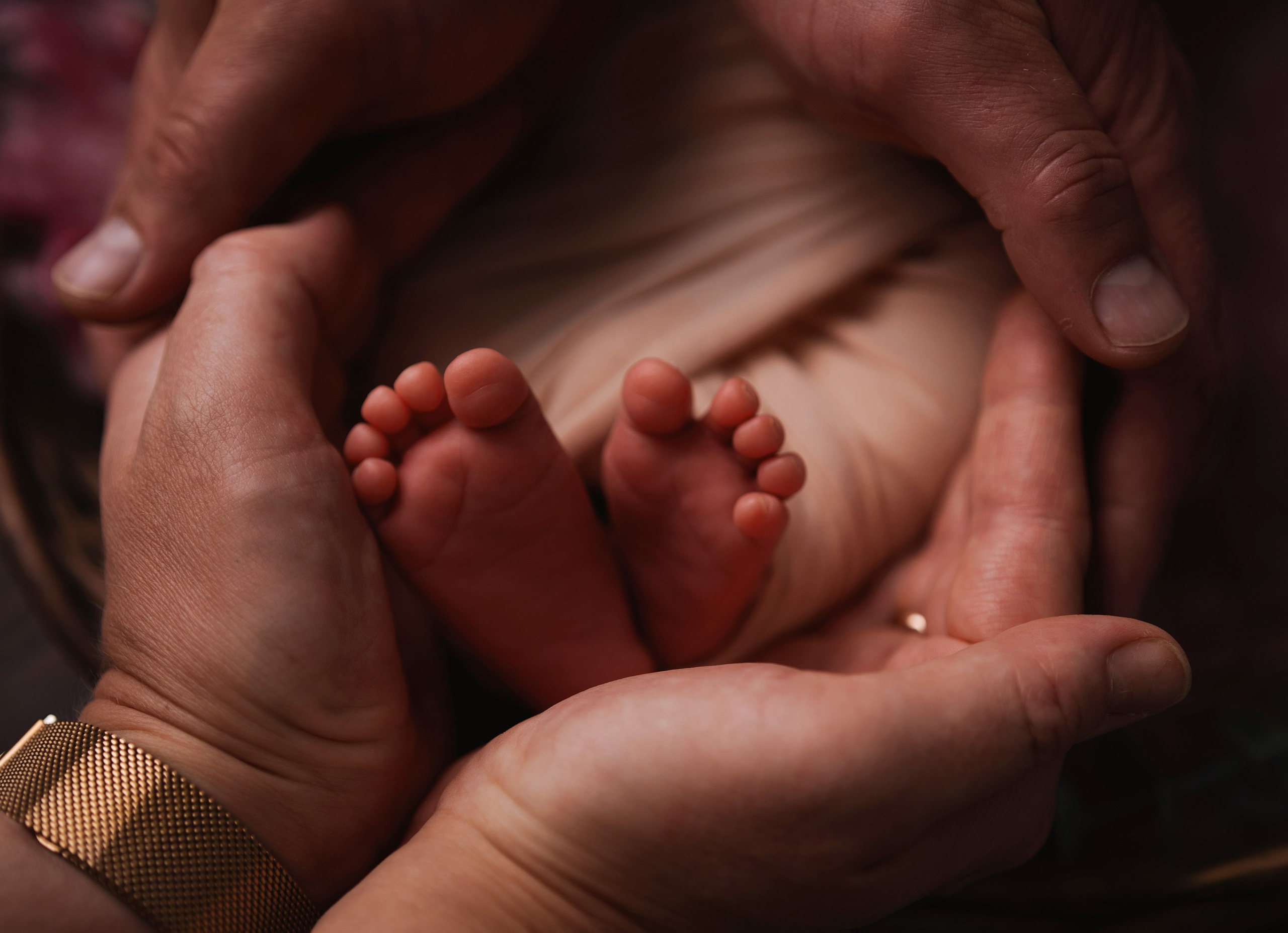 Василиса 14 дней. Фотограф новорожденных в Нижнем Новгороде Сергеева Оксана
