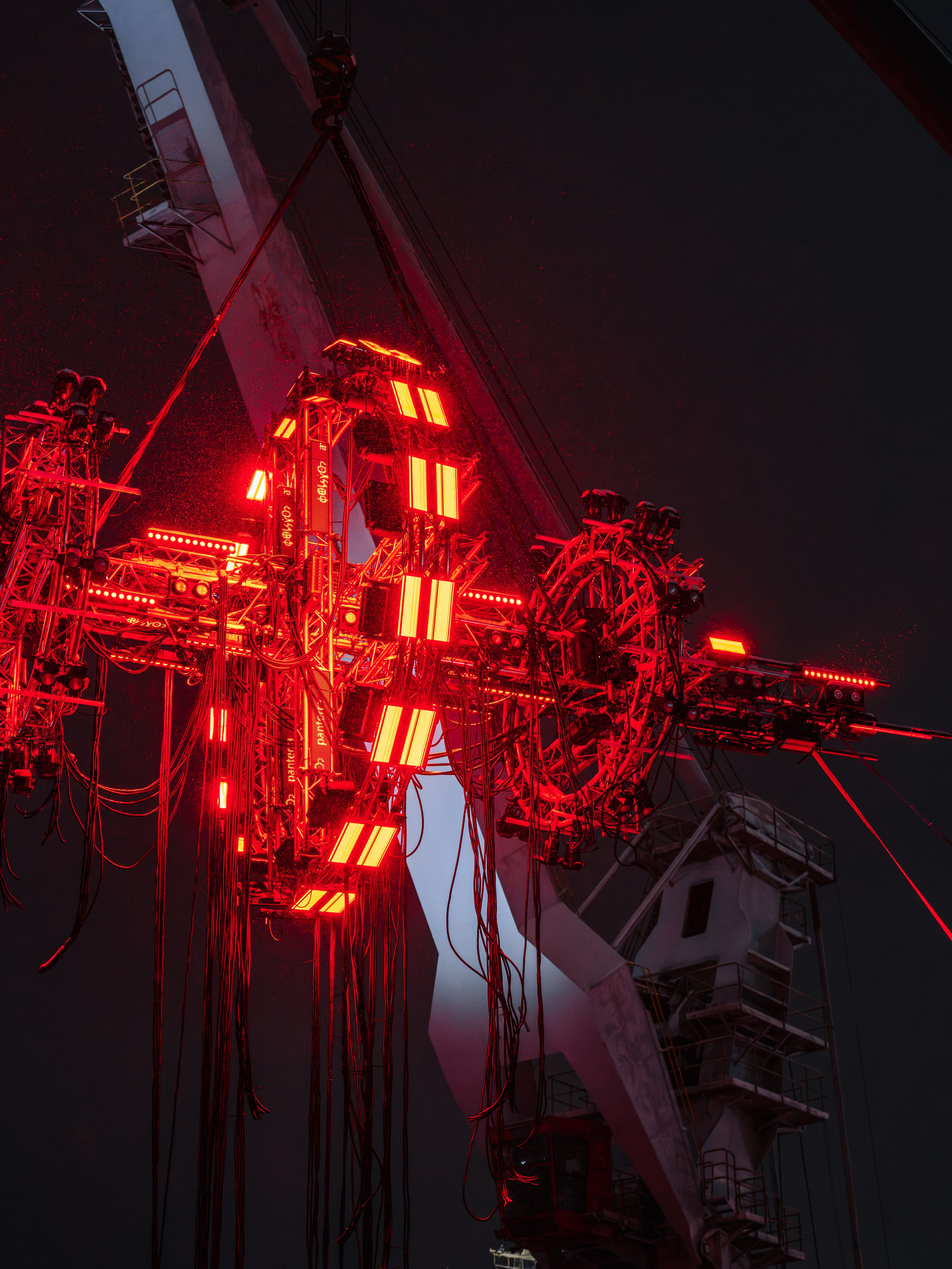 PANTERRA, POSTHUMAN ARTEFACT 003. @tomrus: Рустам Шагиморданов — фотограф