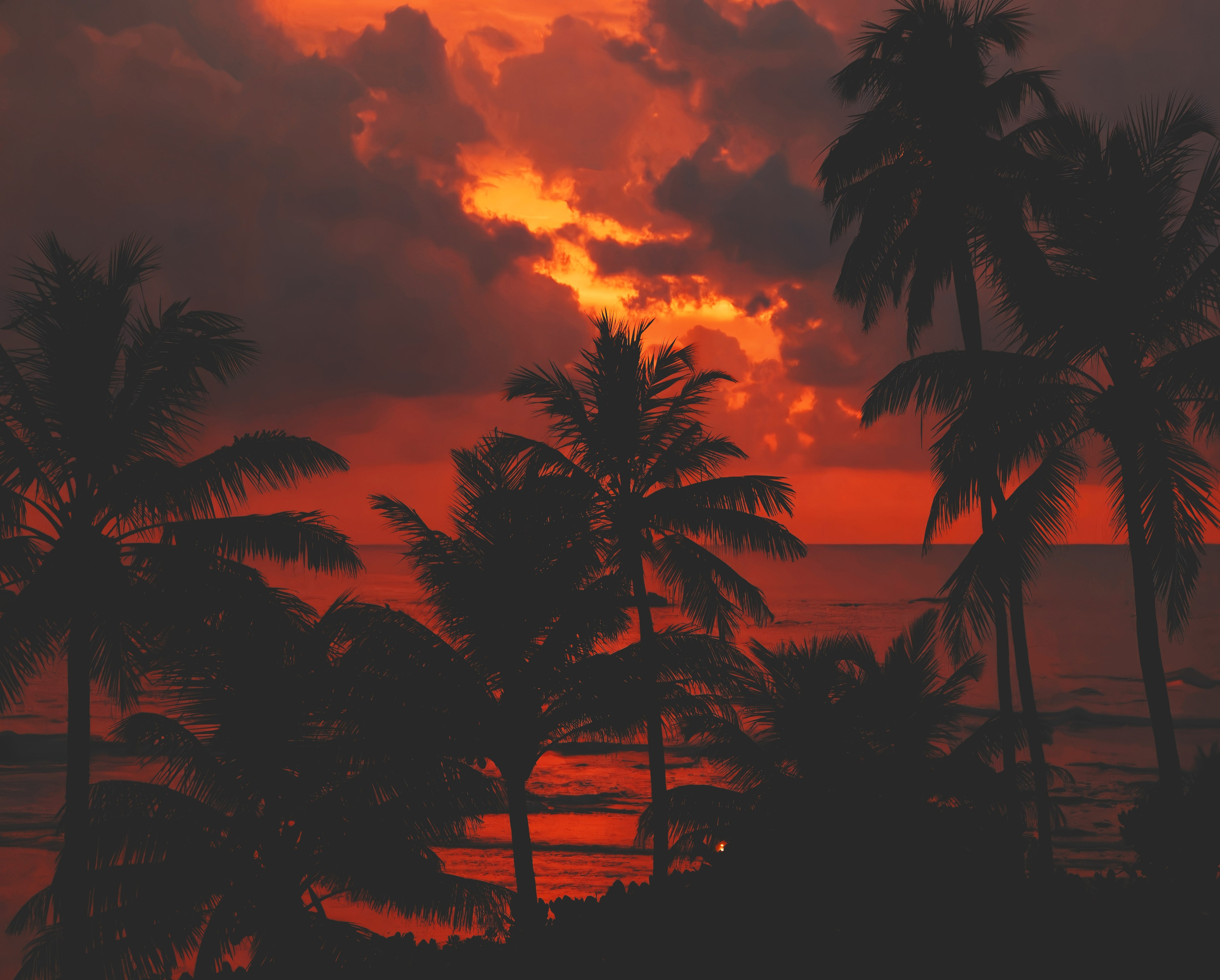 ПРИРОДА. Слепки времени. Фотографии природы и событий. Москва. Сергей Аллагулов