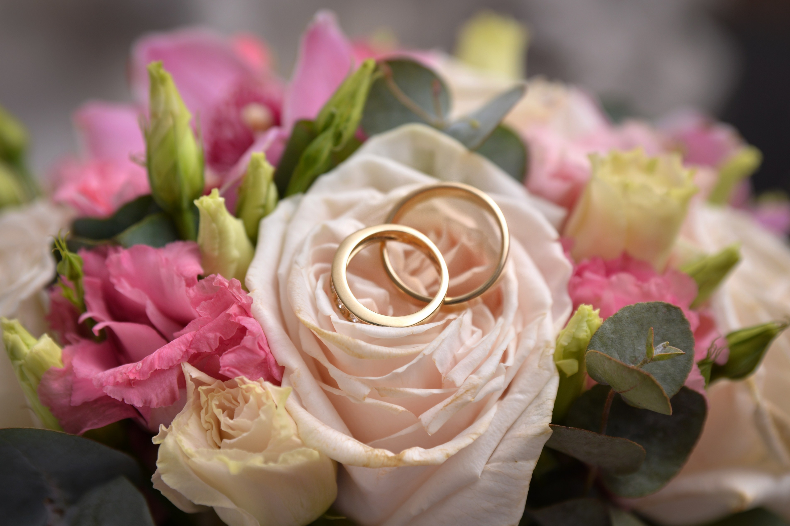 Свадьбы. Контакты