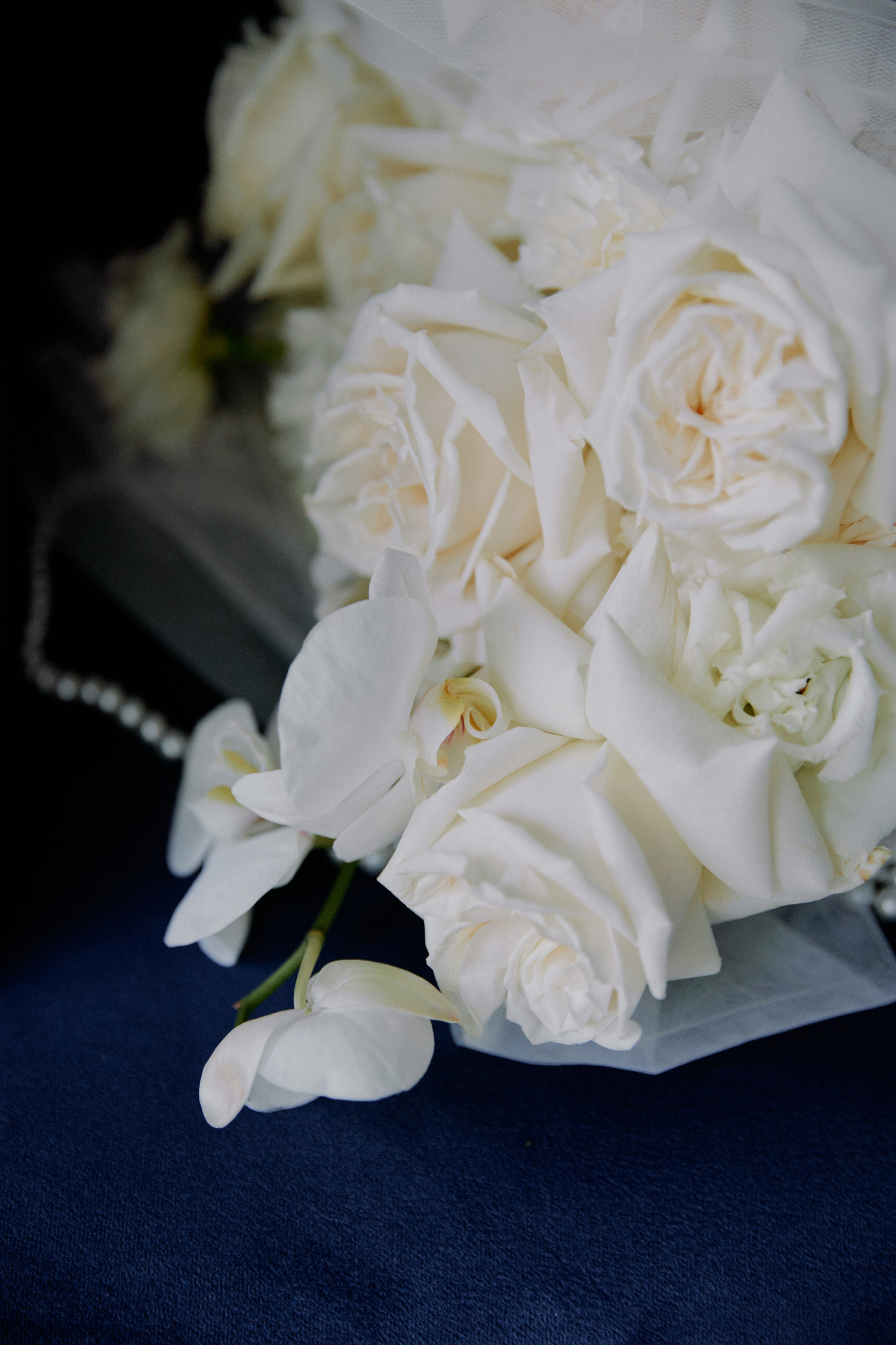 95 градусов по Фаренгейту. Фотограф Елена Краснопевцева