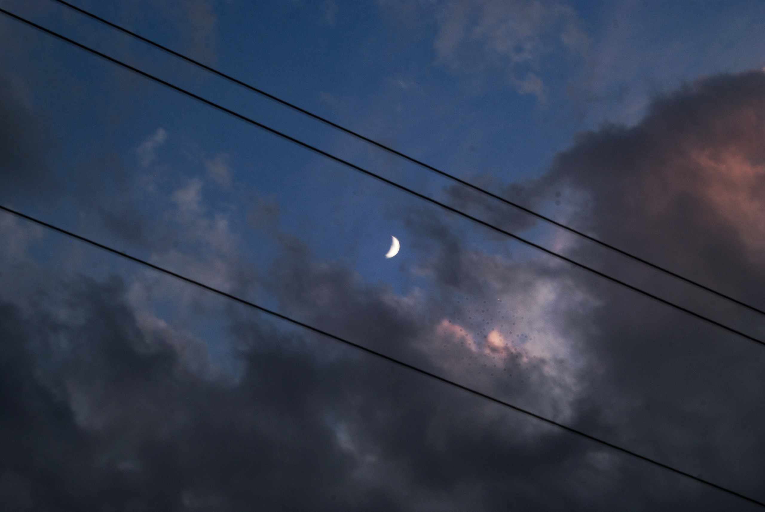 Этот прекрасный мир