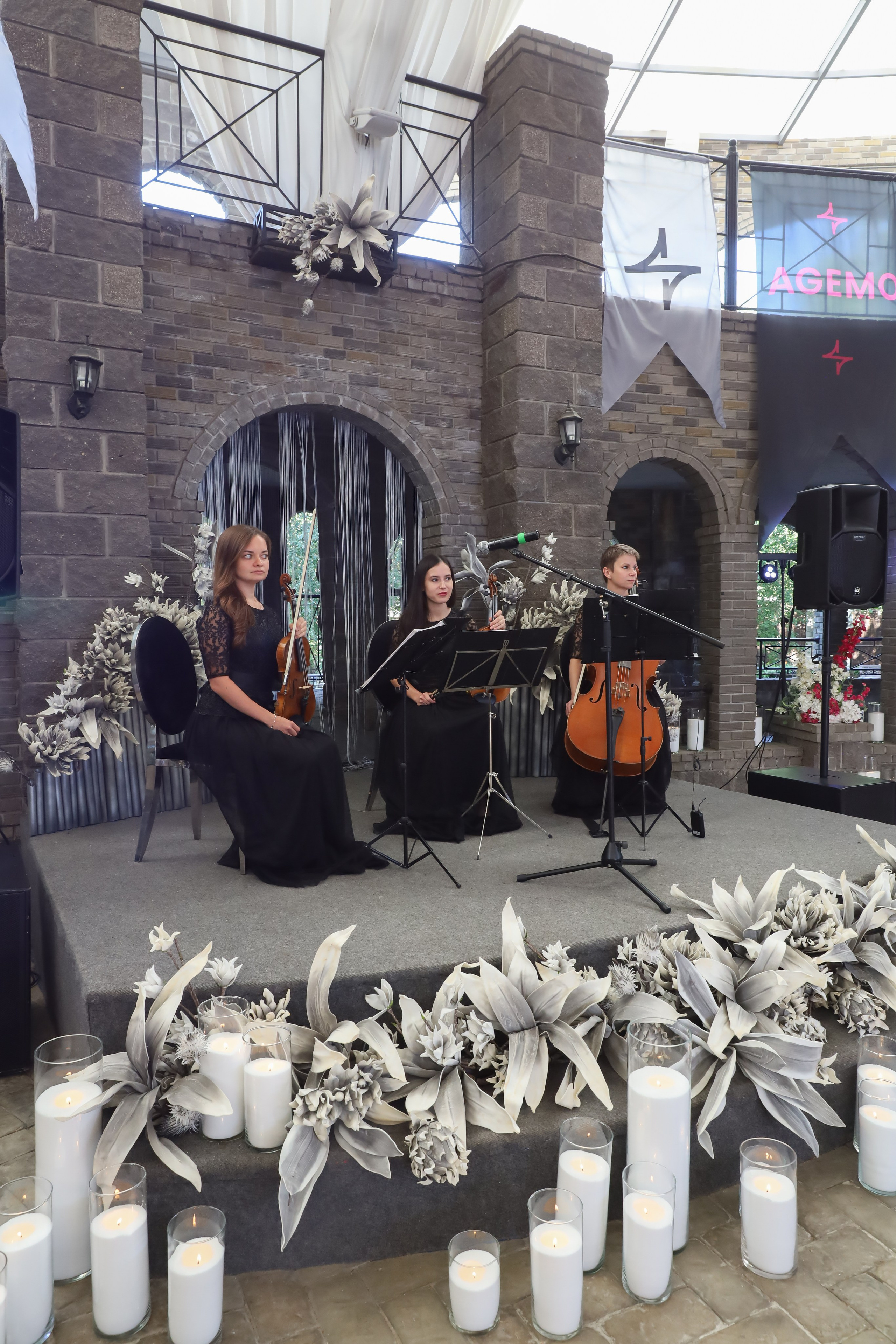 ВЕЧЕРИНКА АКАДЕМИИ AGEMO. Фотограф мероприятий Ирина Каширина