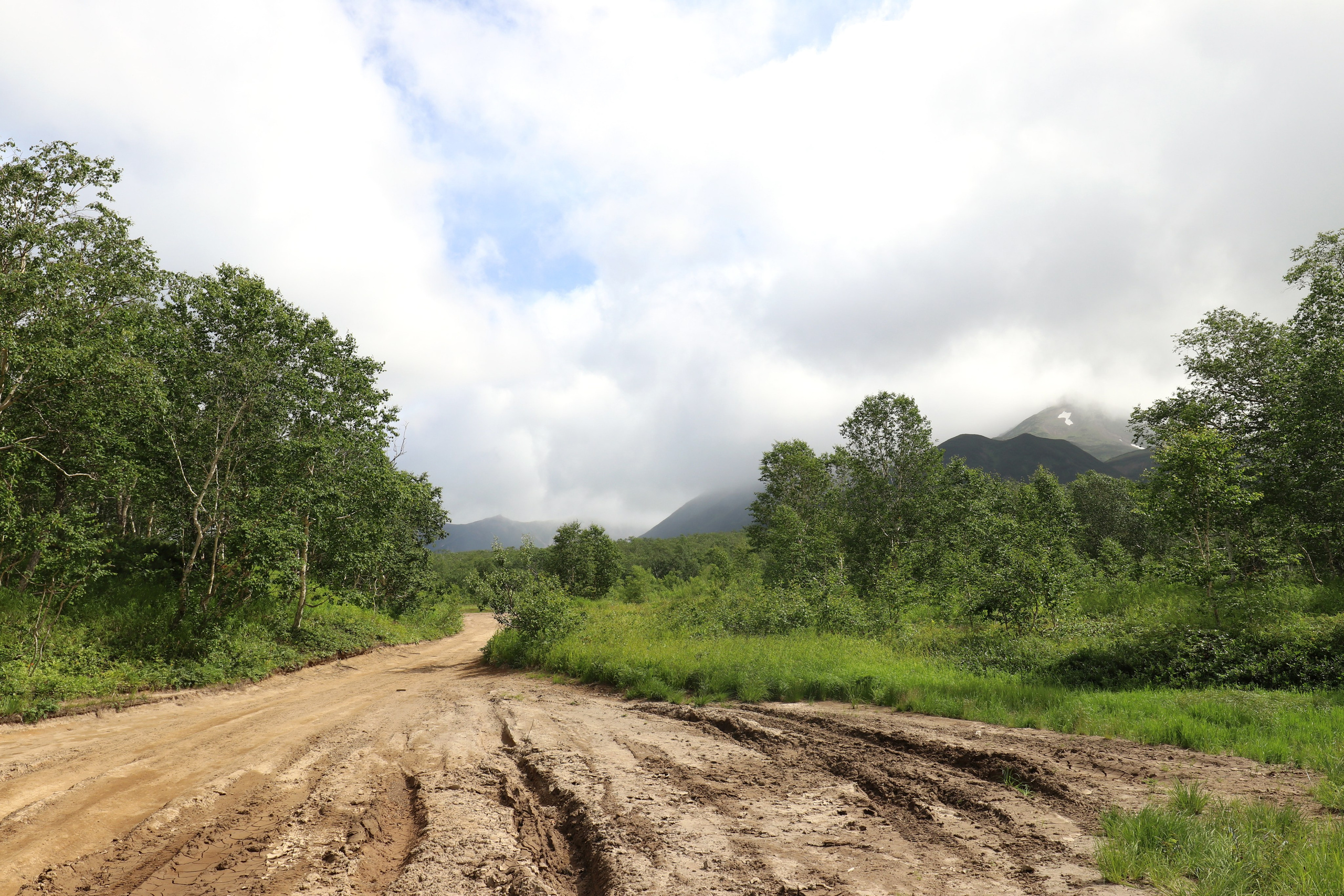 Камчатка и о. Парамушир. Июль 2024. Путешественник-фотограф из Санкт-Петербурга Татьяна Свистулина