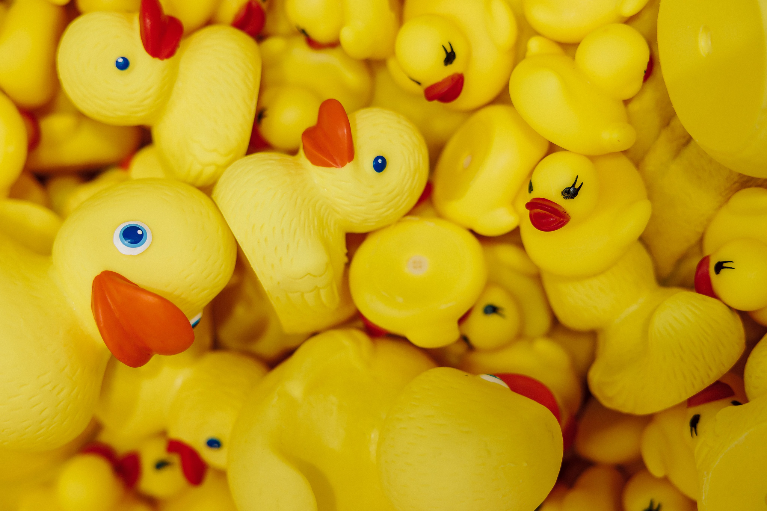 СКБ Контур — Форум будущего — Стенд. Лёшка Варзегов — фотограф