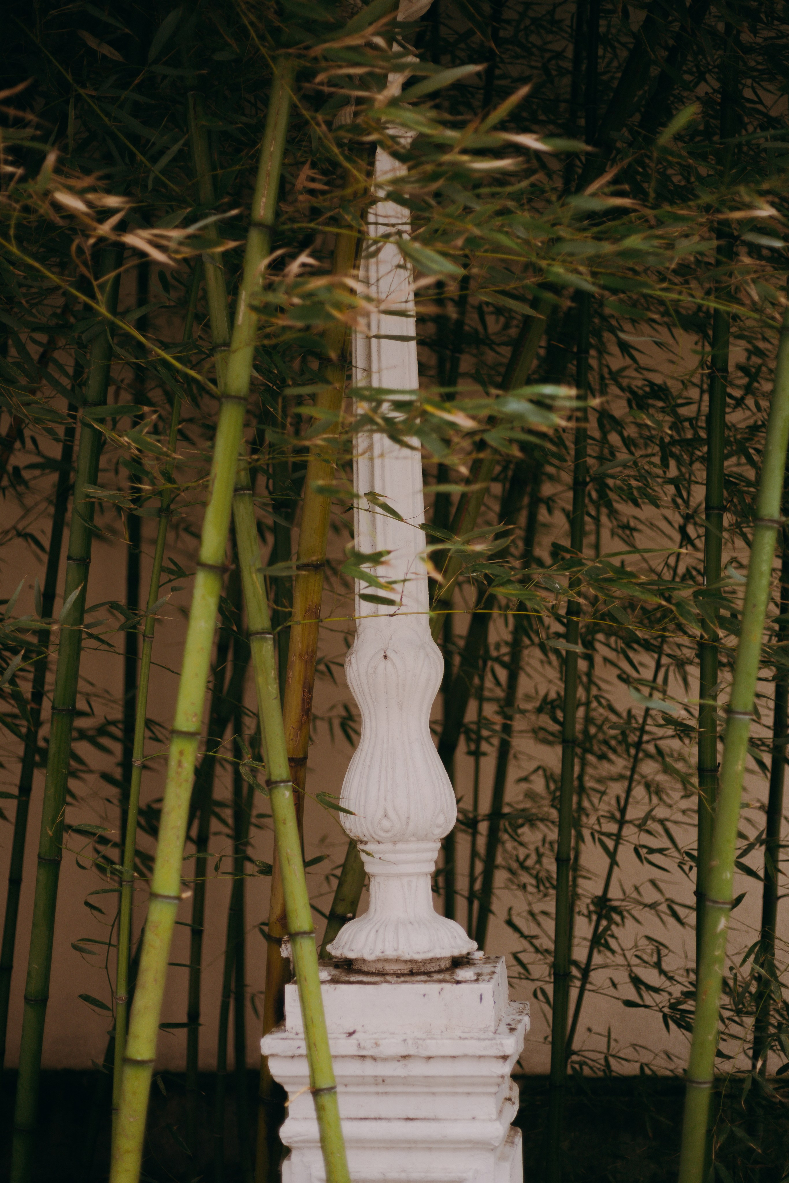 Стамбул. Профессиональный Фотограф во Владимире, в Москве и в Суздале — Полина Романычева