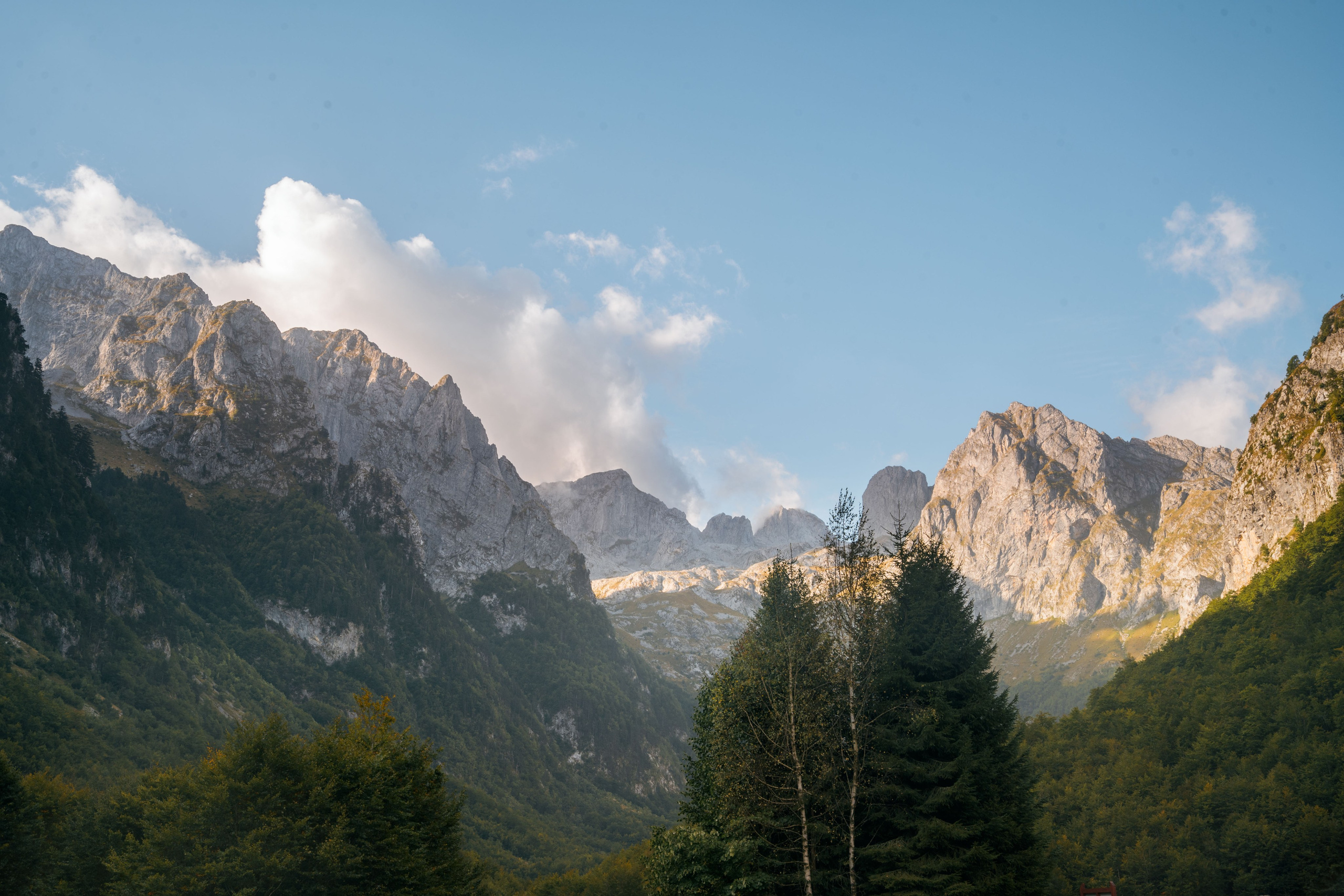 ДОЛИНА ГРЕБАЙЕ. ЧЕРНОГОРИЯ. Фотограф в Белграде Чугреева Елена