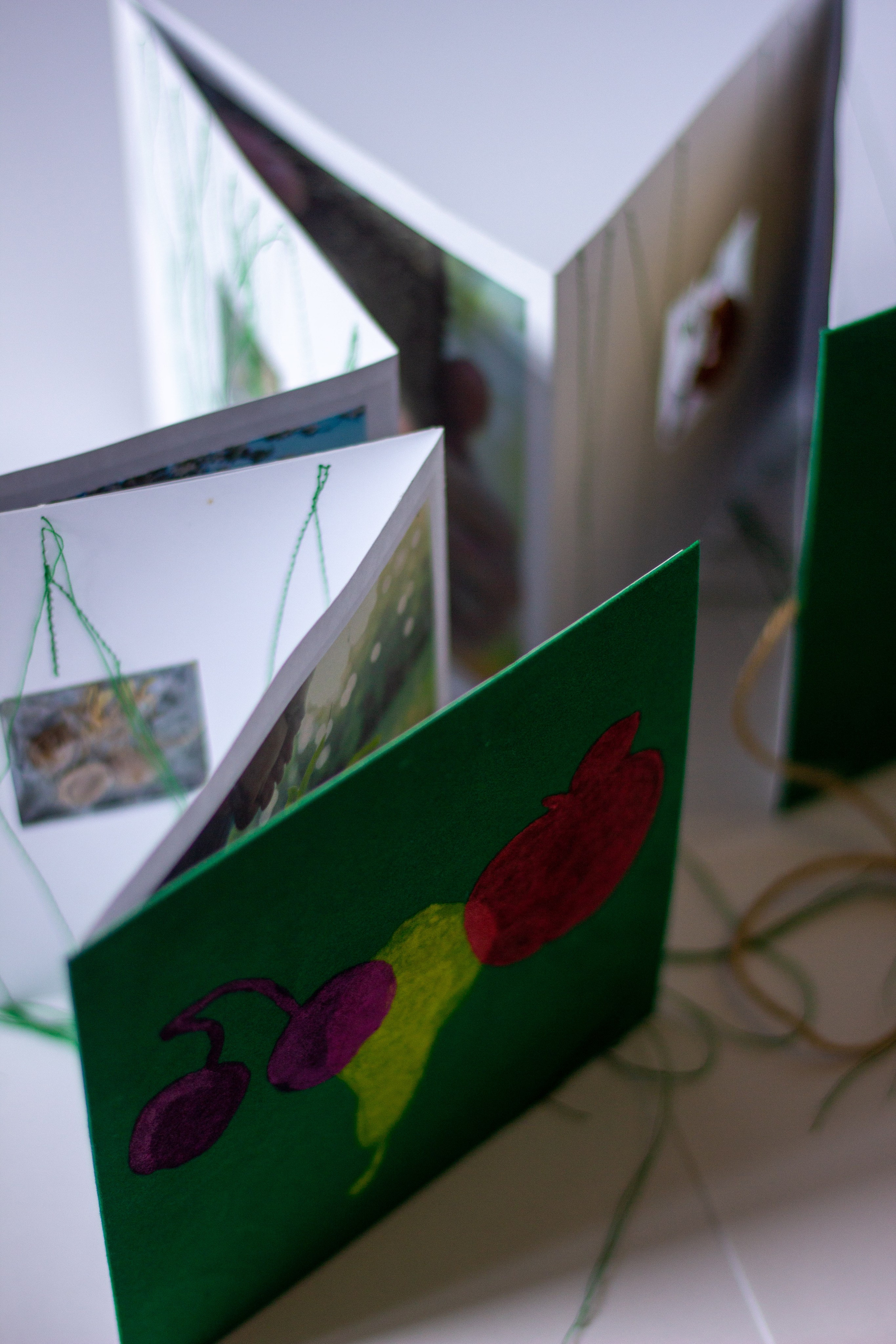 Плодовые (2024 — в процессе). Julia Gorbunova