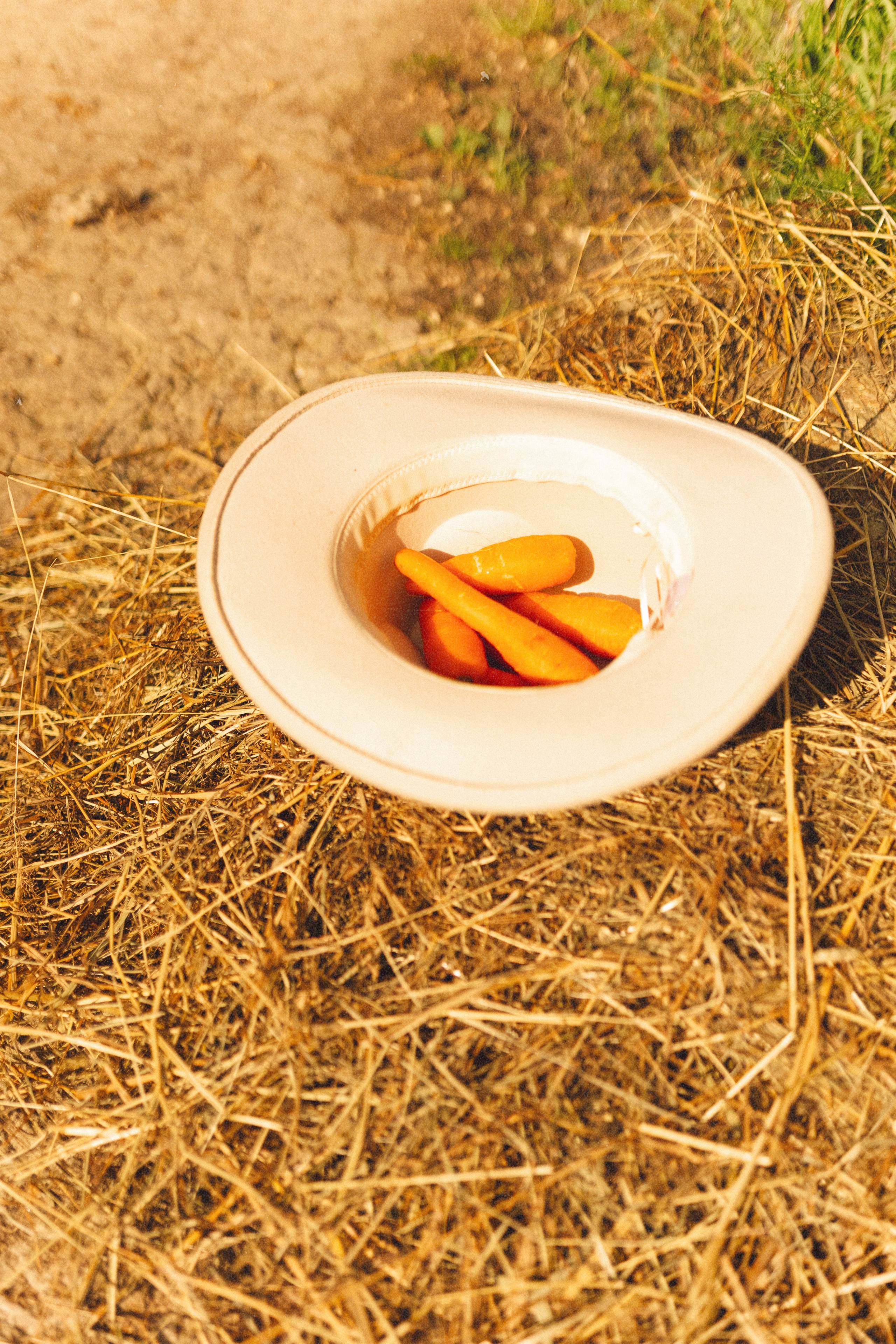 Екатерина. Семейный и свадебный фотограф в Санкт-Петербурге Науменко Владислав