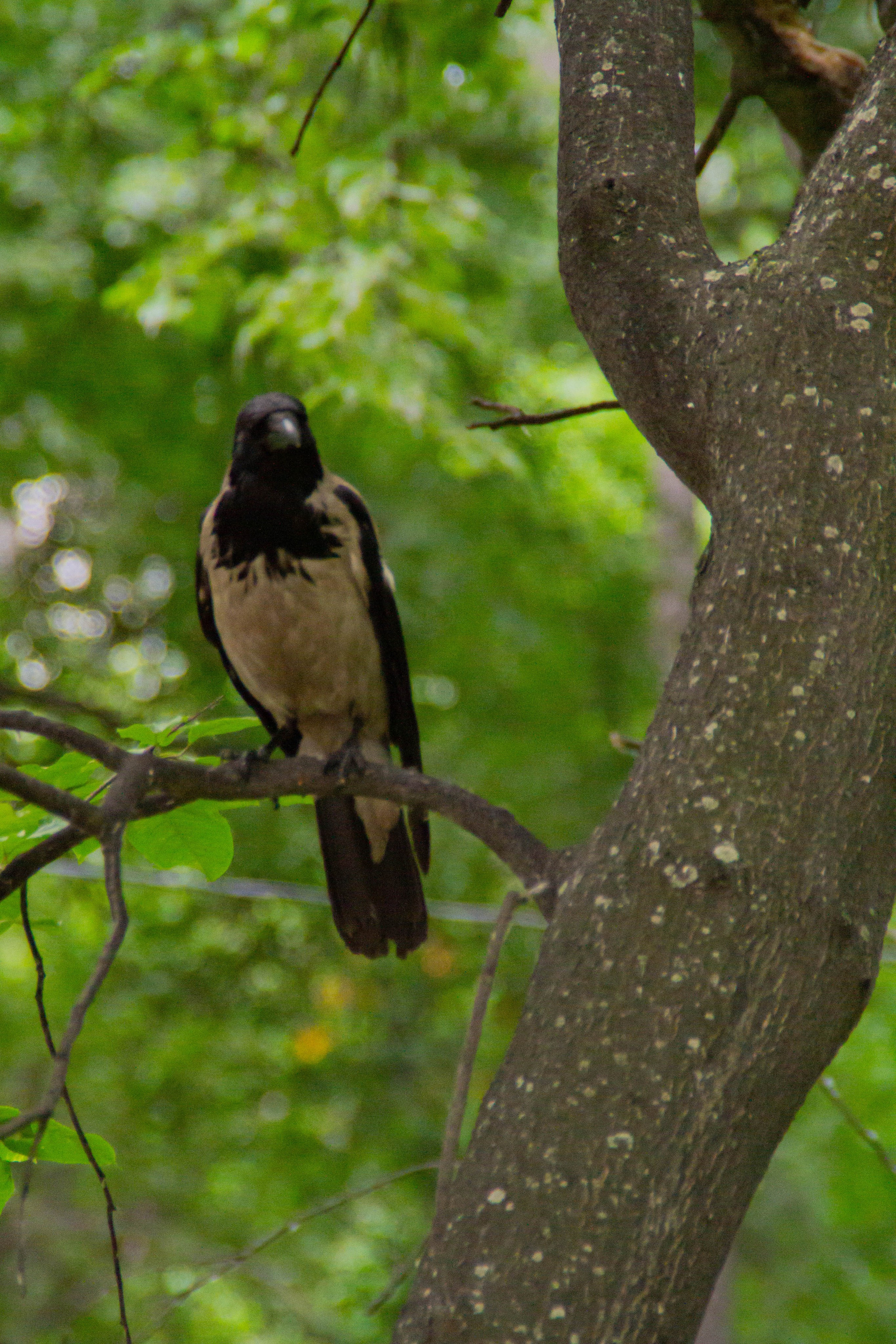 Ural Music Night 2025 х Inclusive Event