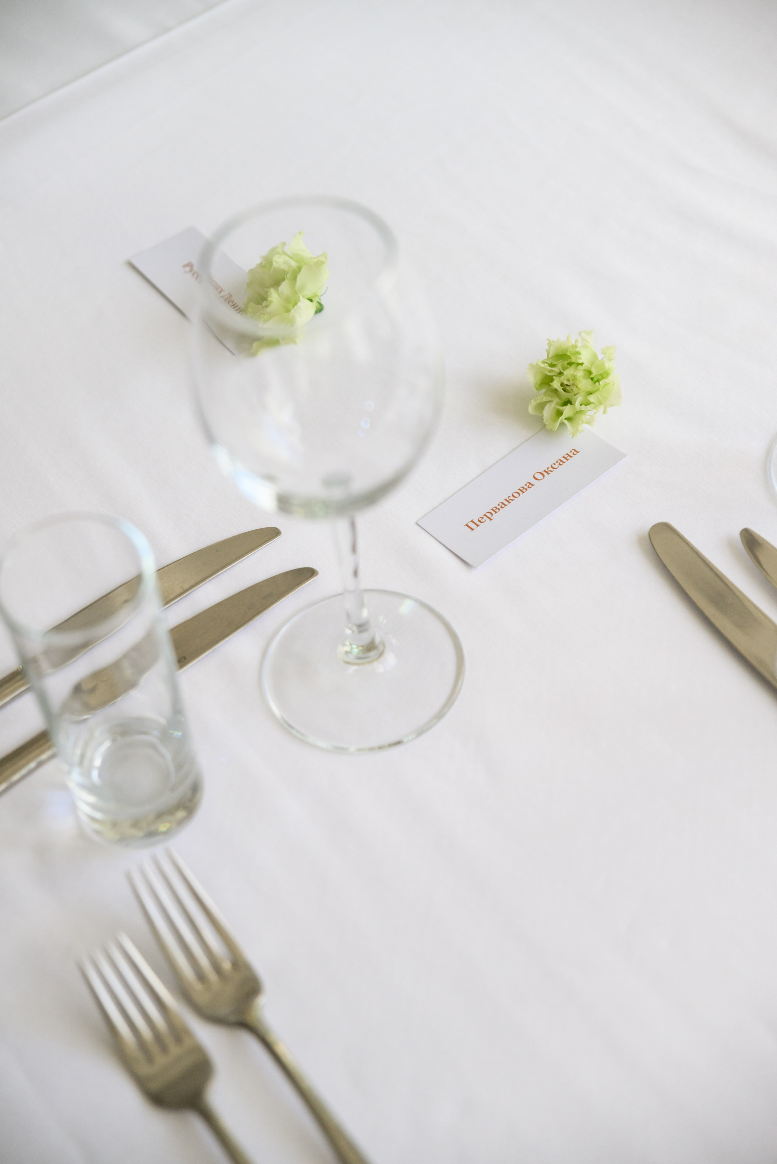 День Рождения Светланы. Константин Солодянкин — свадебный и репортажный фотограф в Екатеринбурге и Верхней Пышме