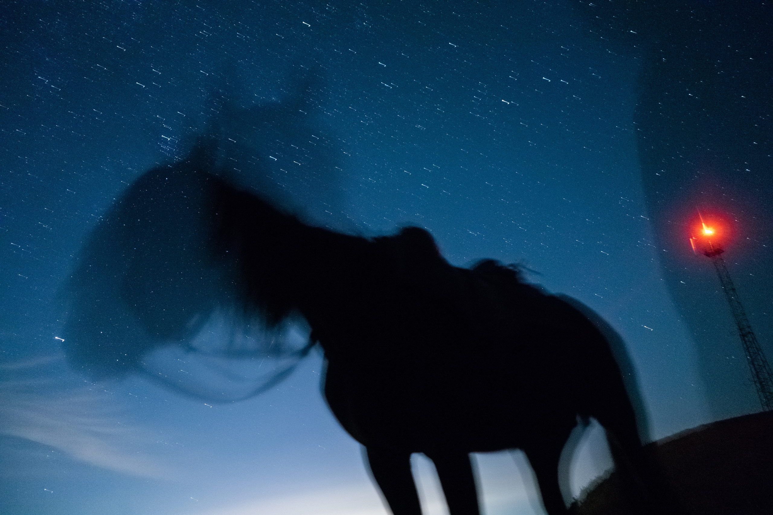 Other photos. Ofeliya Zhakayeva — documentary photographer, videographer