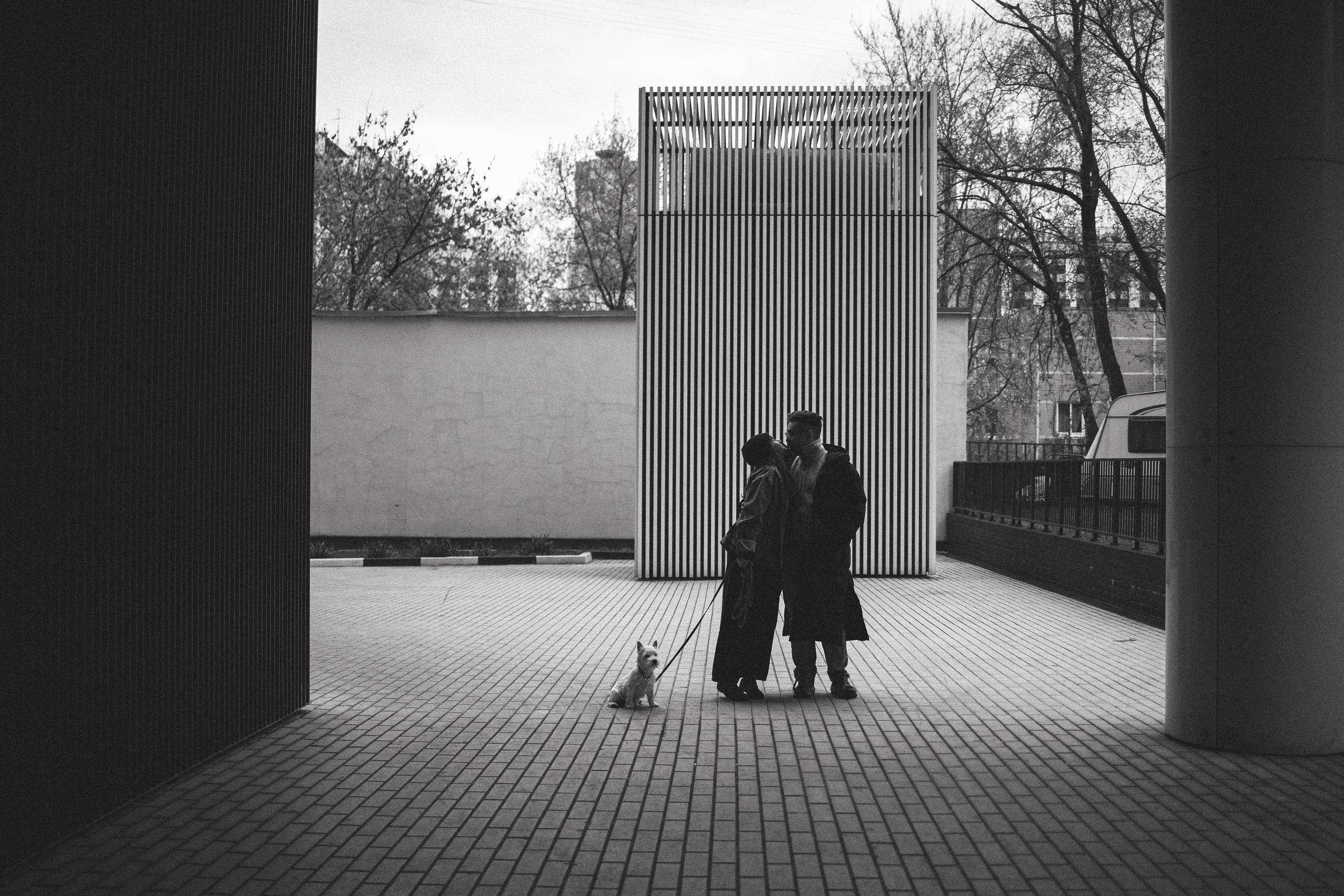 Снежуля, Мари и Саша. Фотограф анималист Анастасия Пикей