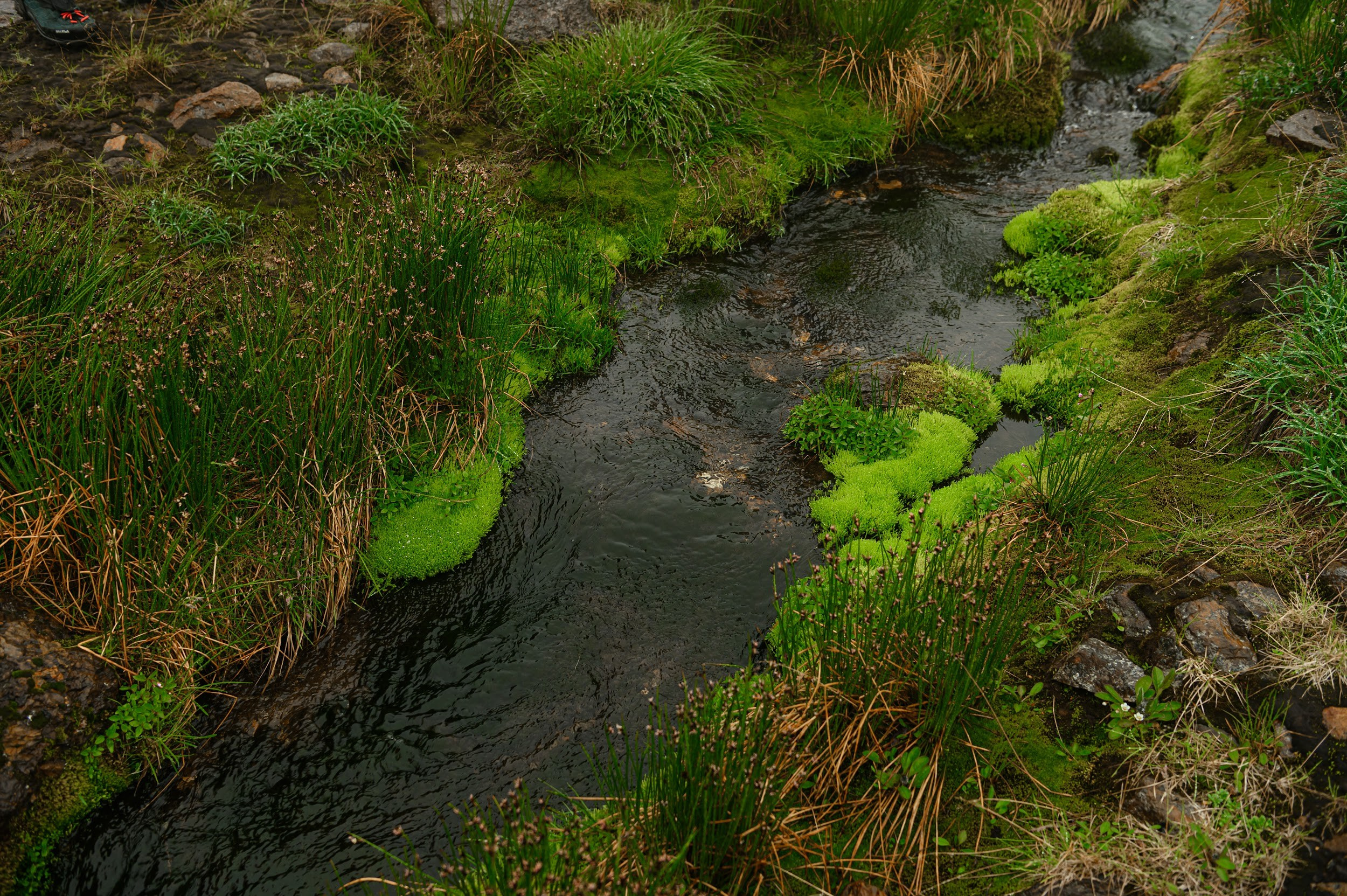 Камчатка 08.2024. Фотограф Марина Росси
