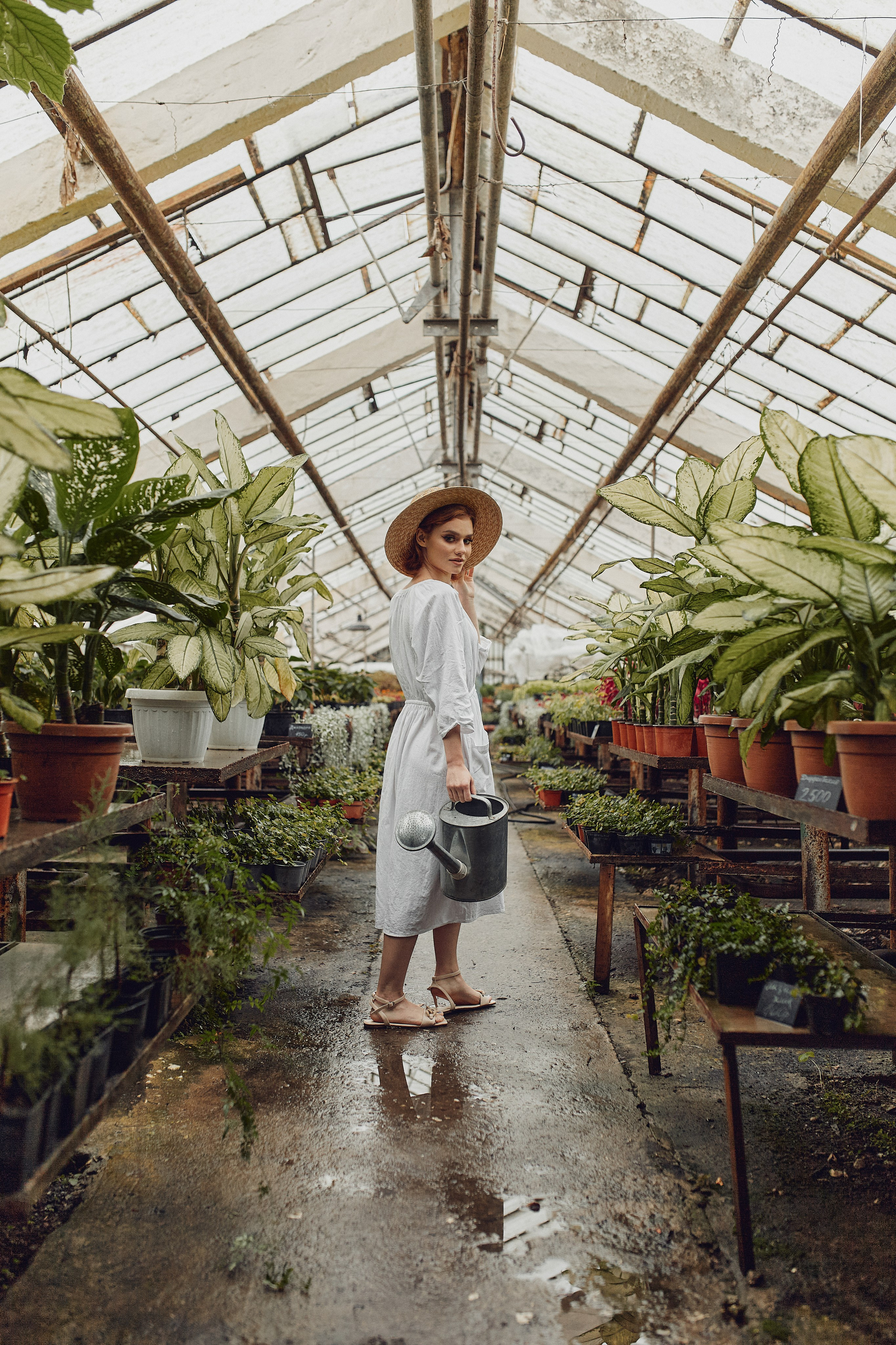 Старая оранжерея