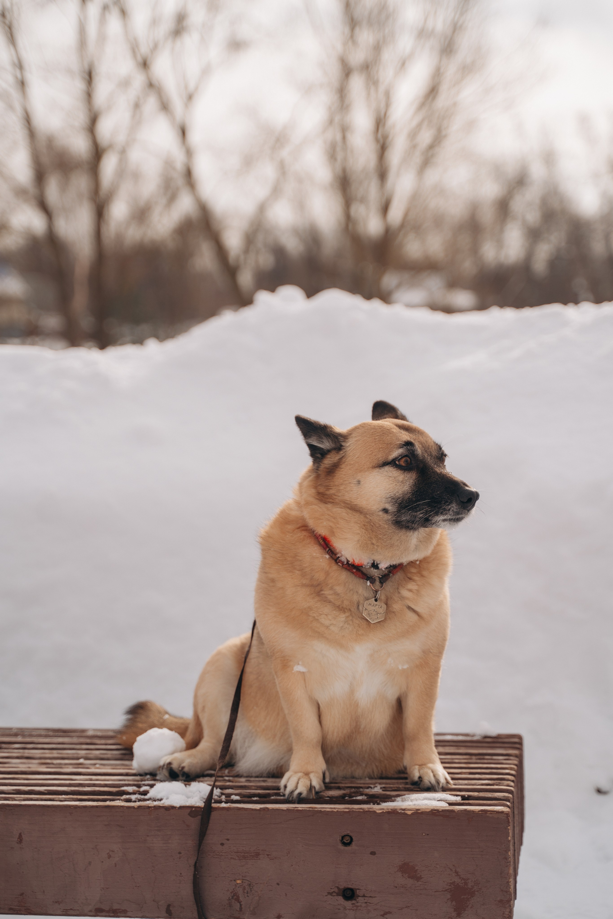Февраль с Мартой 💞. FotoTanya. Раменское/Жуковский/Бронницы