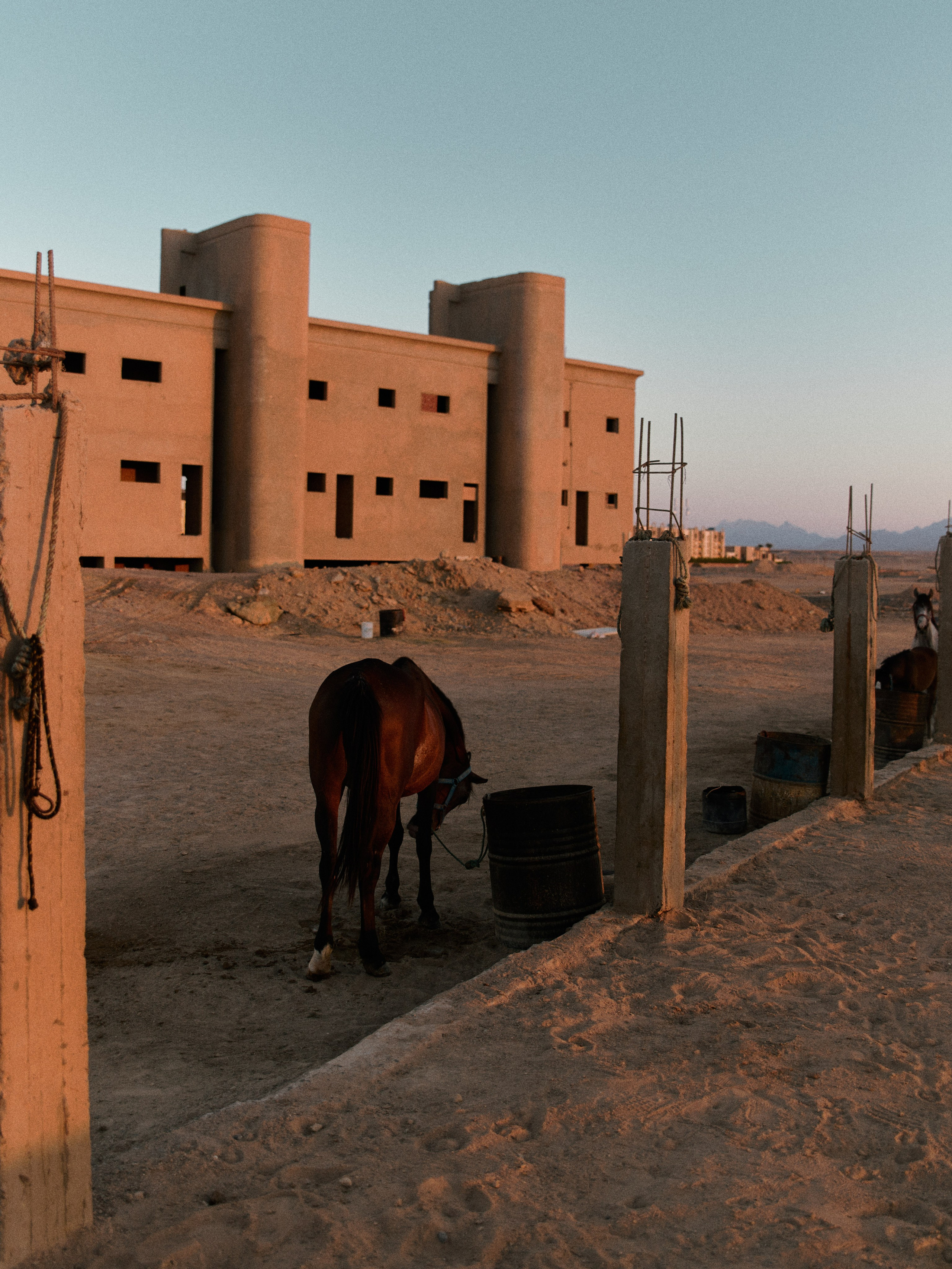 Другое 2. Jorgis Talè — photographer, kind person, teacher of arts and other mag