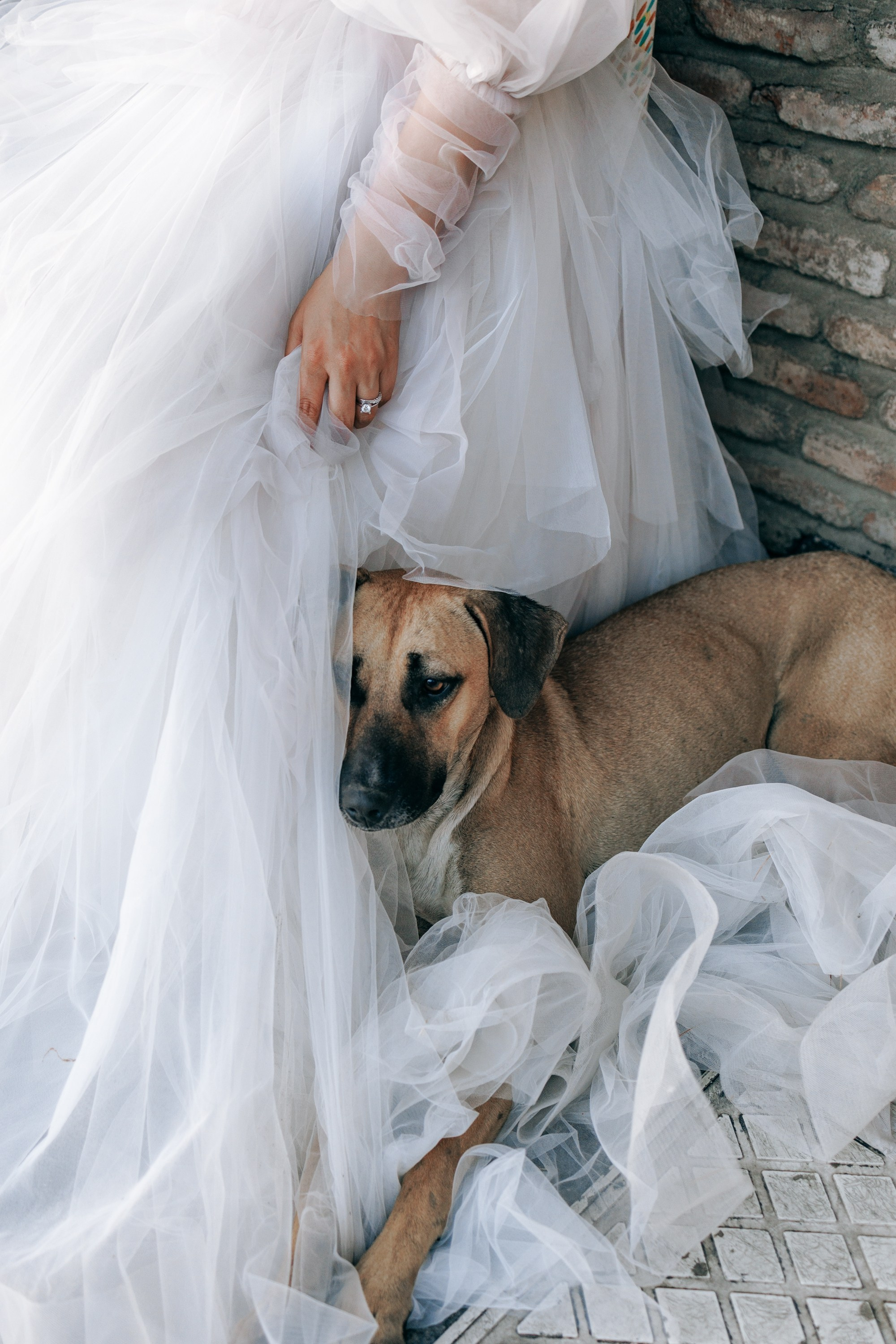 Иранская свадебная фотосессия в Тбилиси, Грузия. Федор Лемешко — Семейный и Свадебный Лайфстайл фотограф в Таиланде Дубае Грузии Армении