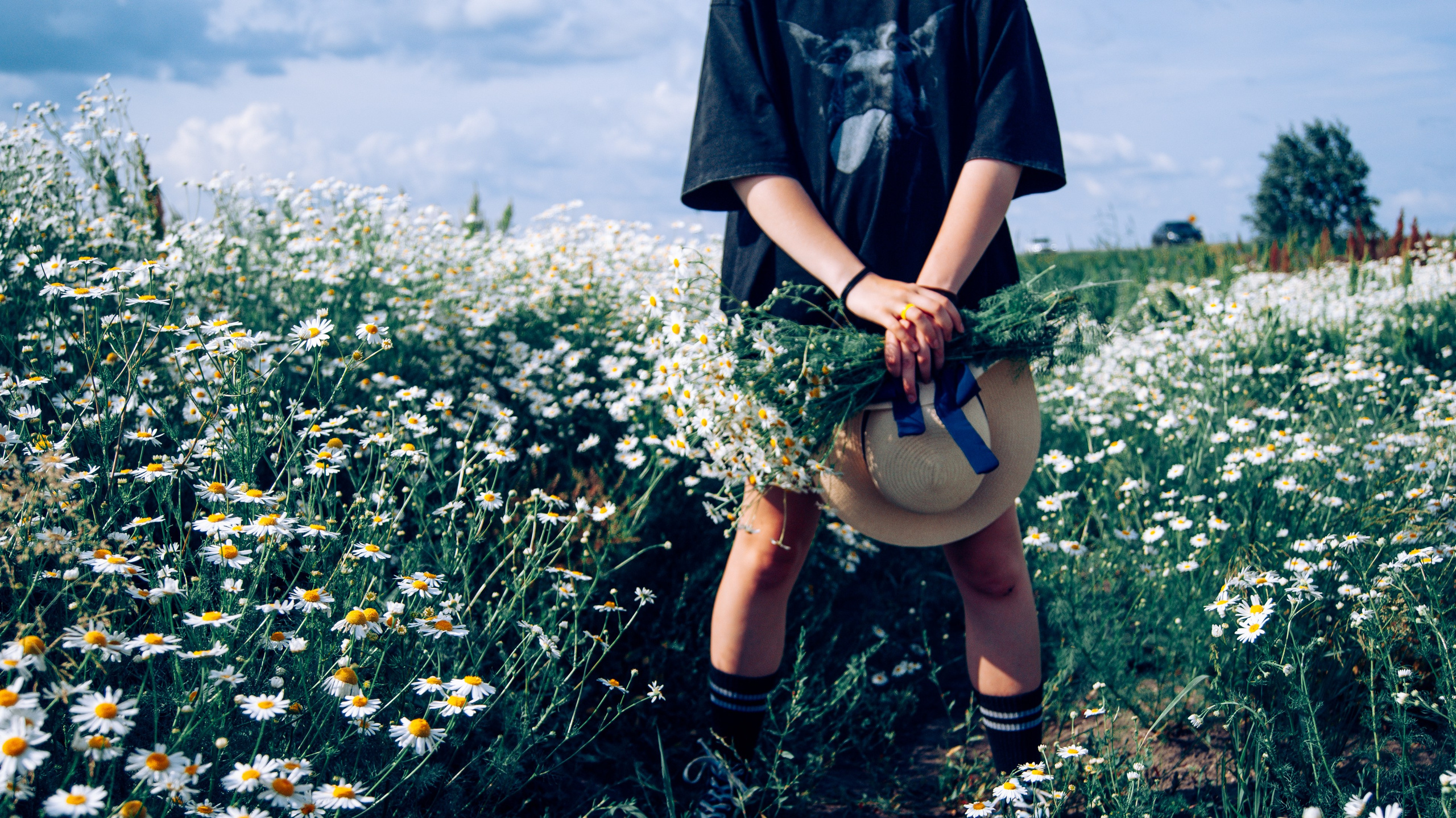 Индивидуальная фотосессия в ромашковом поле. Семейный фотограф в Миассе Ольга Широковская
