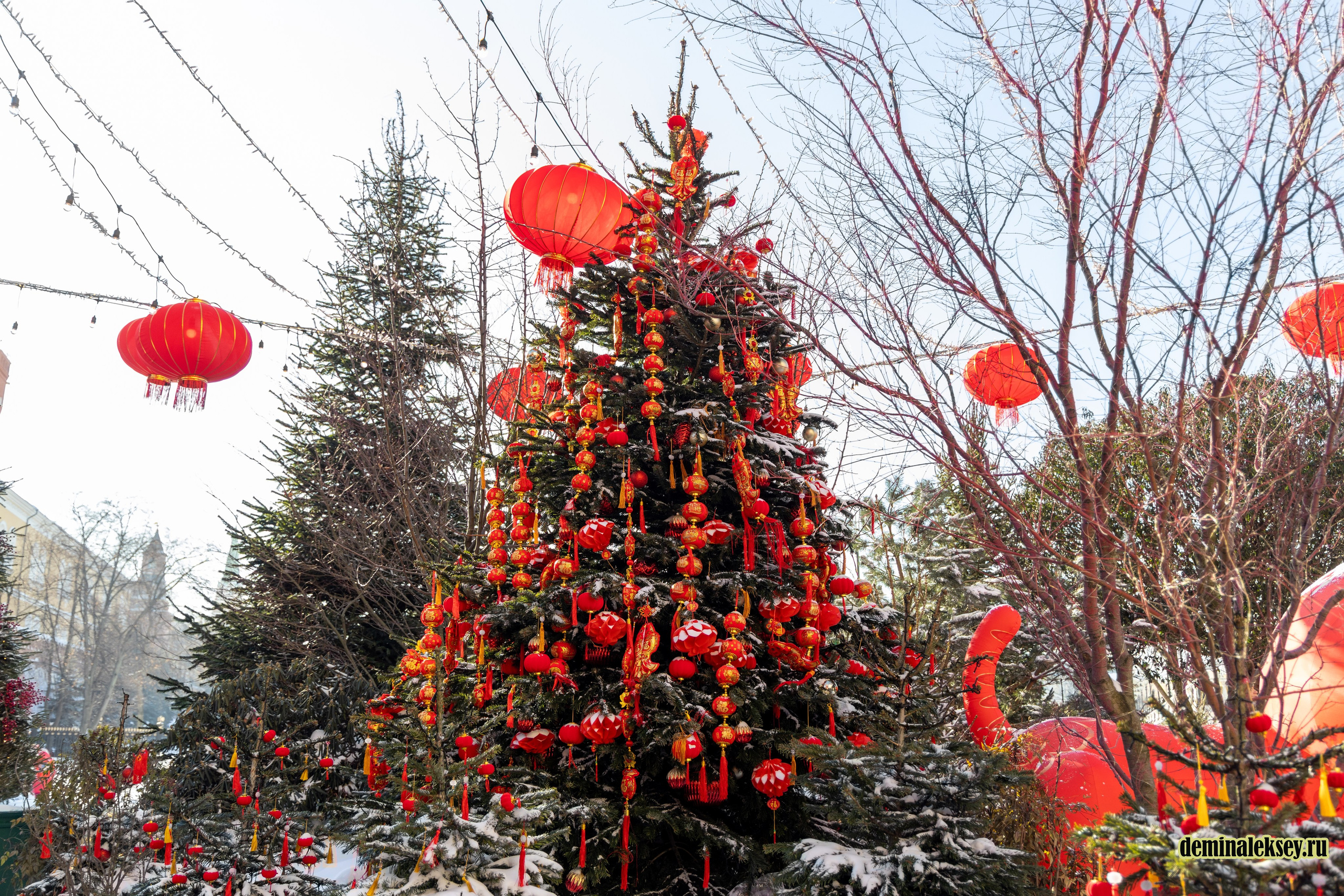 Китайский Новый год в Москве 2026. Репортажный, семейный и студийный фотограф в Москве Демин Алексей