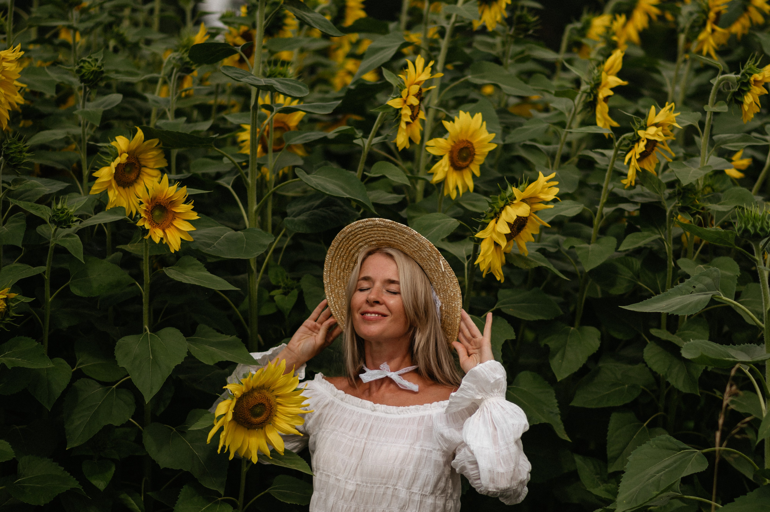 В поле с велосипедом. Главная