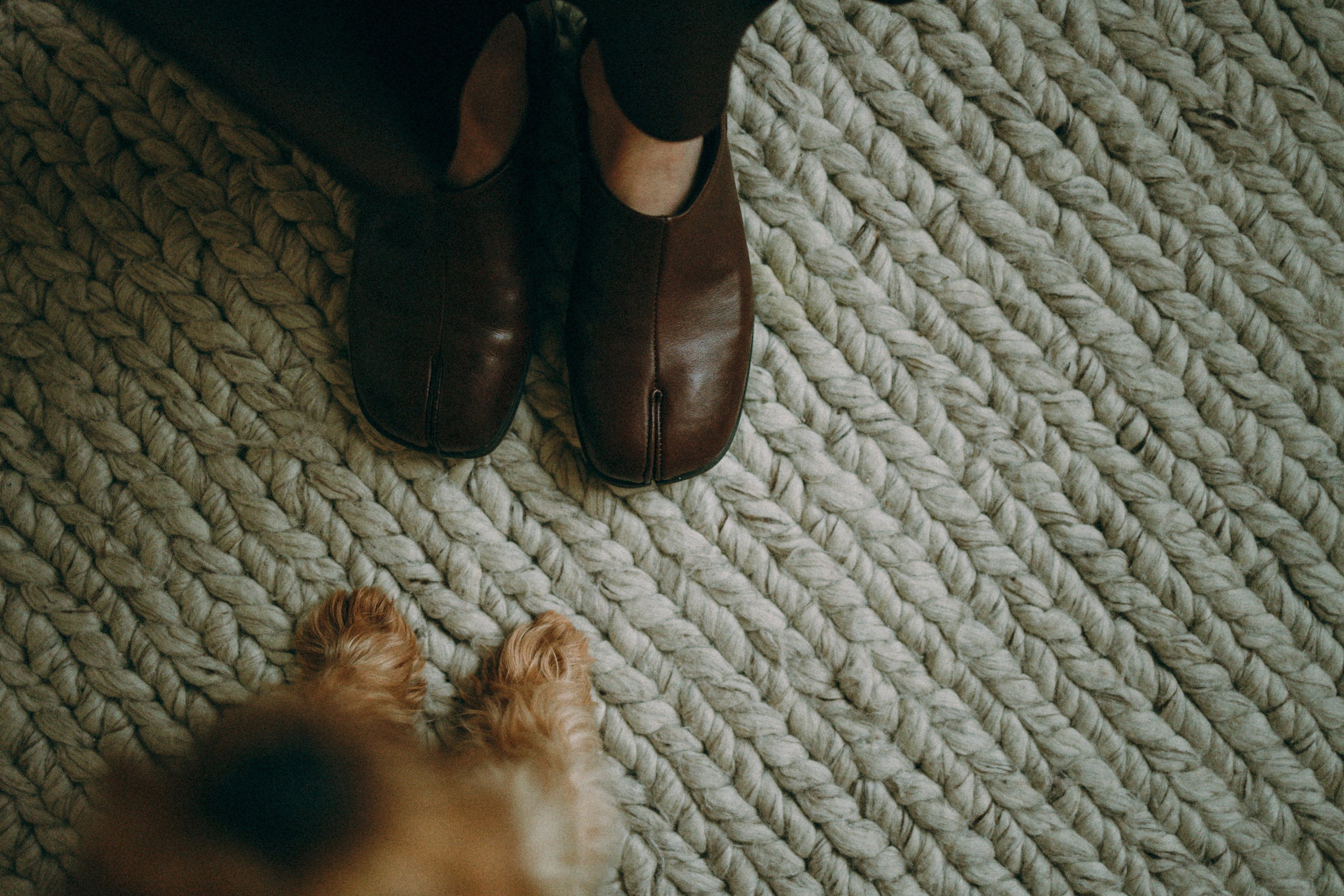 Ричард и Ксюша. Фотограф анималист Анастасия Пикей