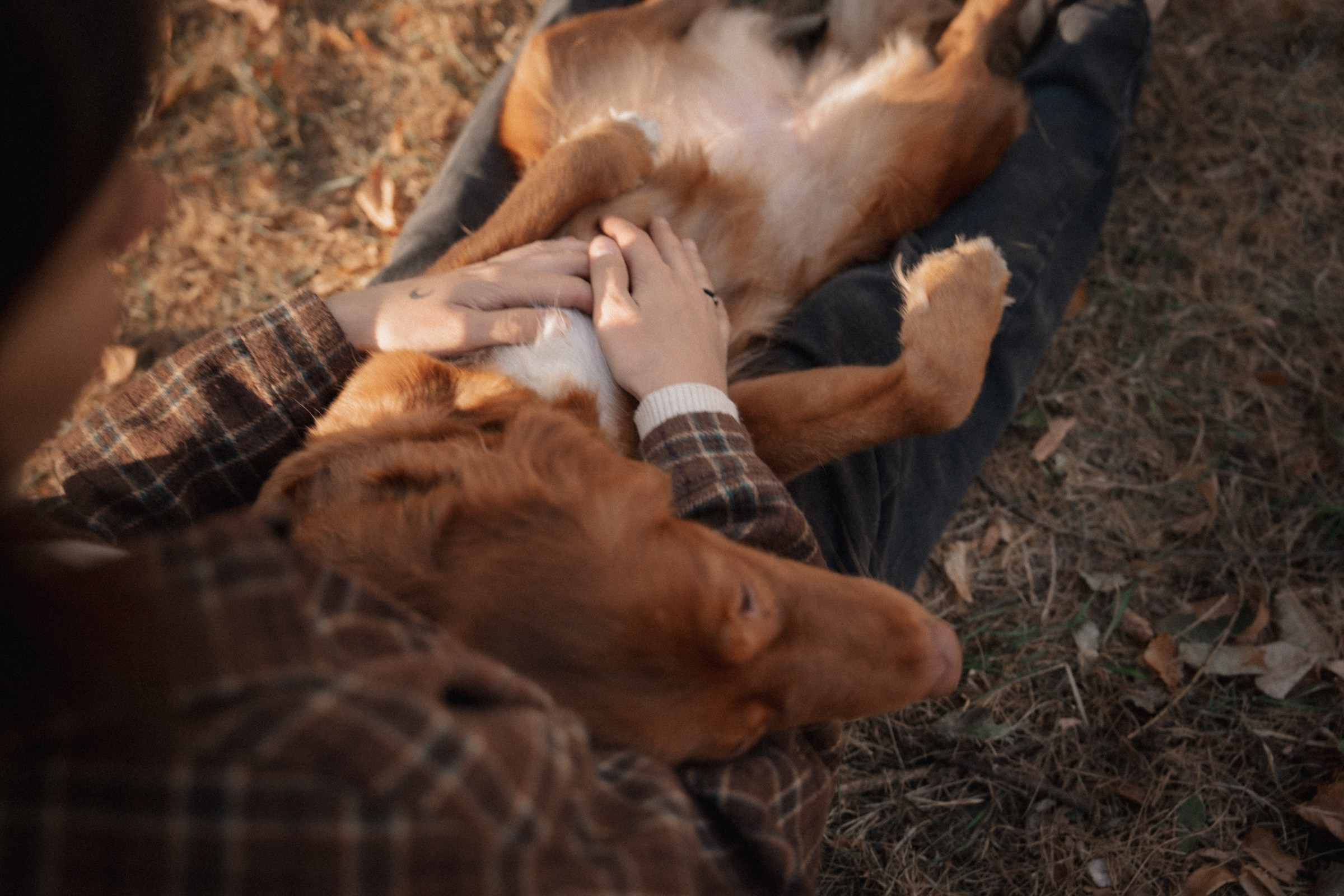 Солнечные лапки ♡ Полина и Эста. Свадебный и портретный фотограф в Москве, Светлана Янковая