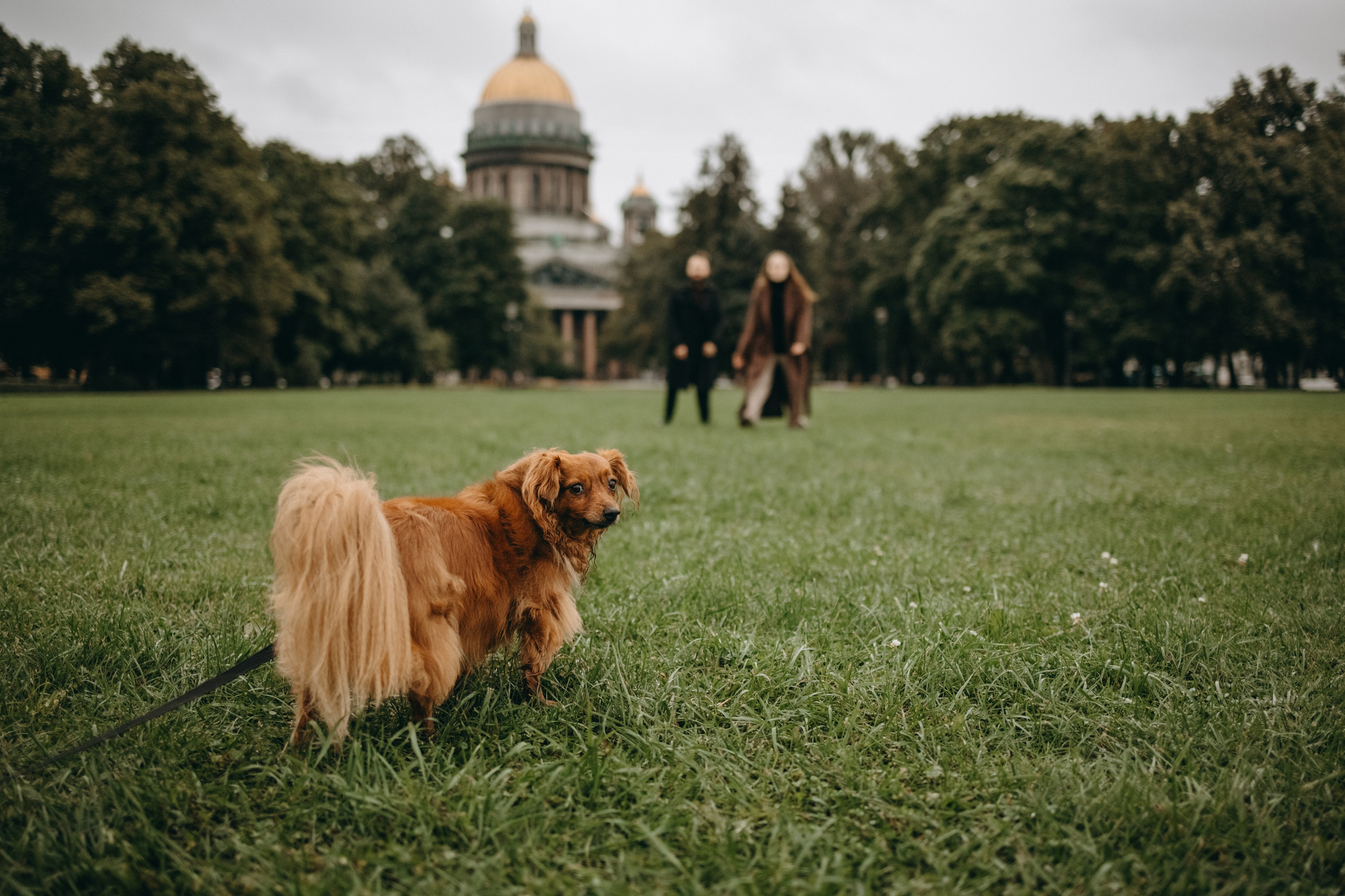 Жу и ее семья. Фотограф — Анималист | Санкт-Петербург