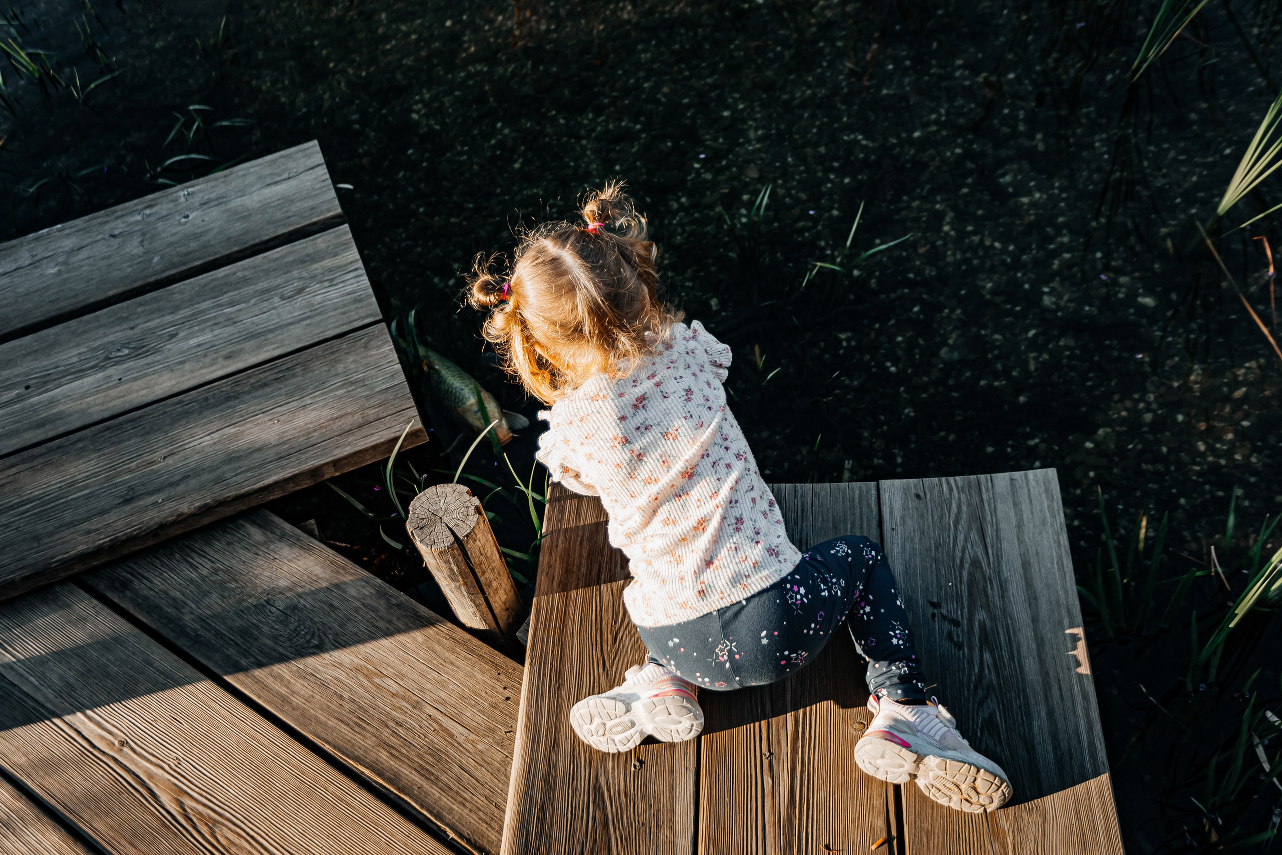 Мрия_Японский_сад_5.10.2024. Аминов Руслан | Фотограф