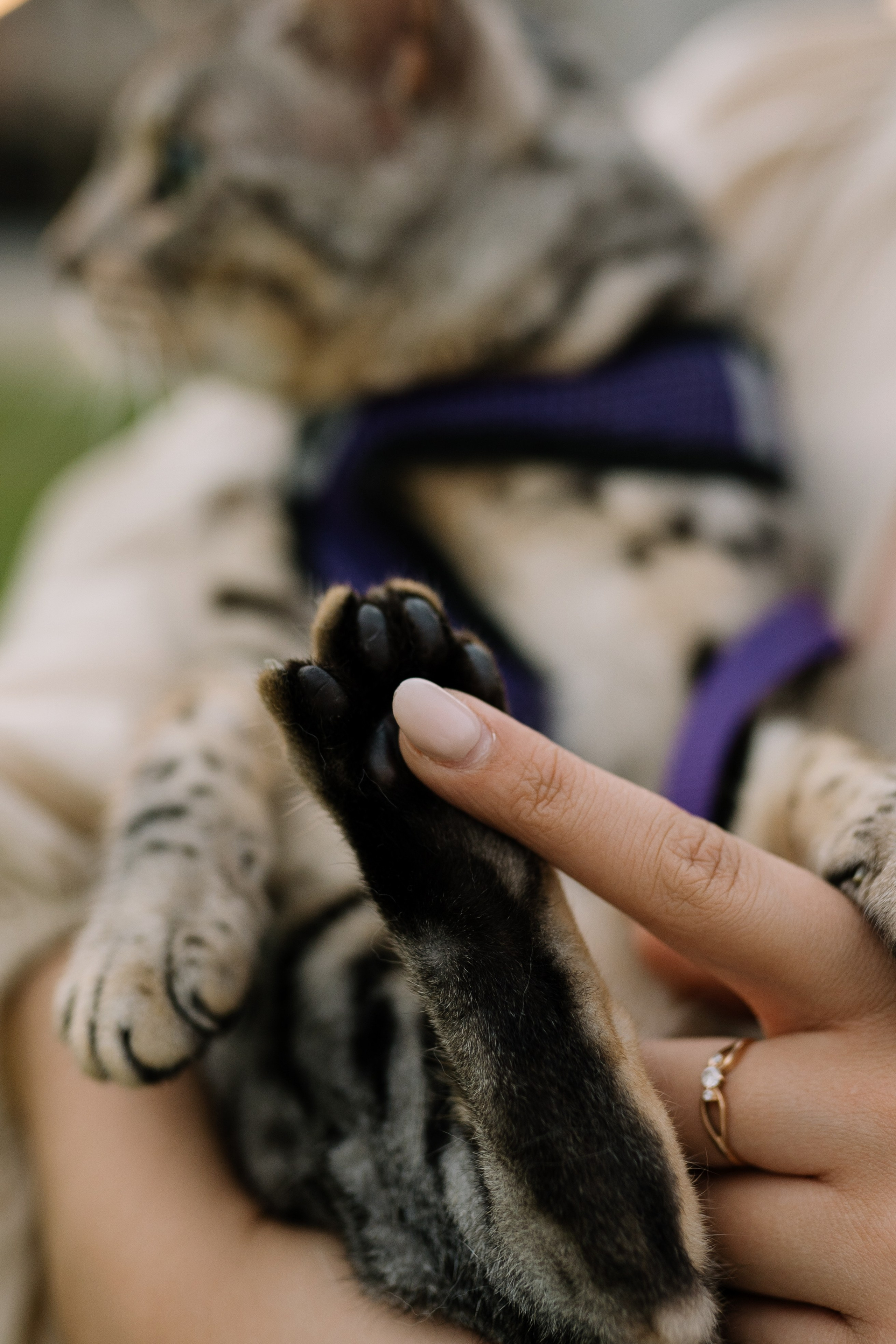 Диана и Элис